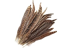 Natural Pheasant Tails Feather for Hair Accessories and Decorations