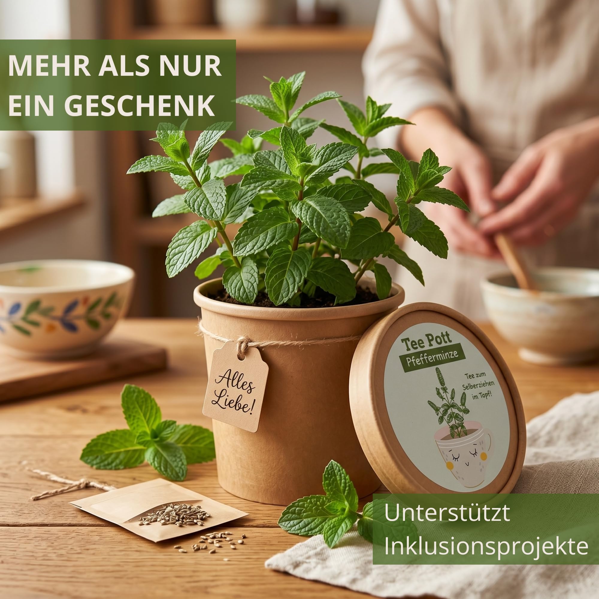 Kit de culture de menthe poivrée avec graines et terre pour rebord de fenêtre