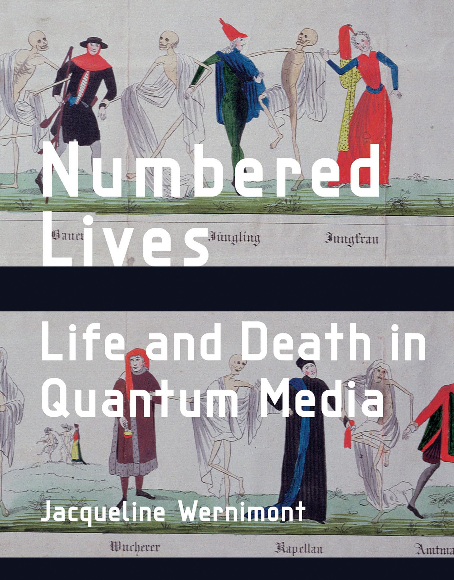 Buy Numbered Lives: Life and Death in Quantum Media — BookShops.in