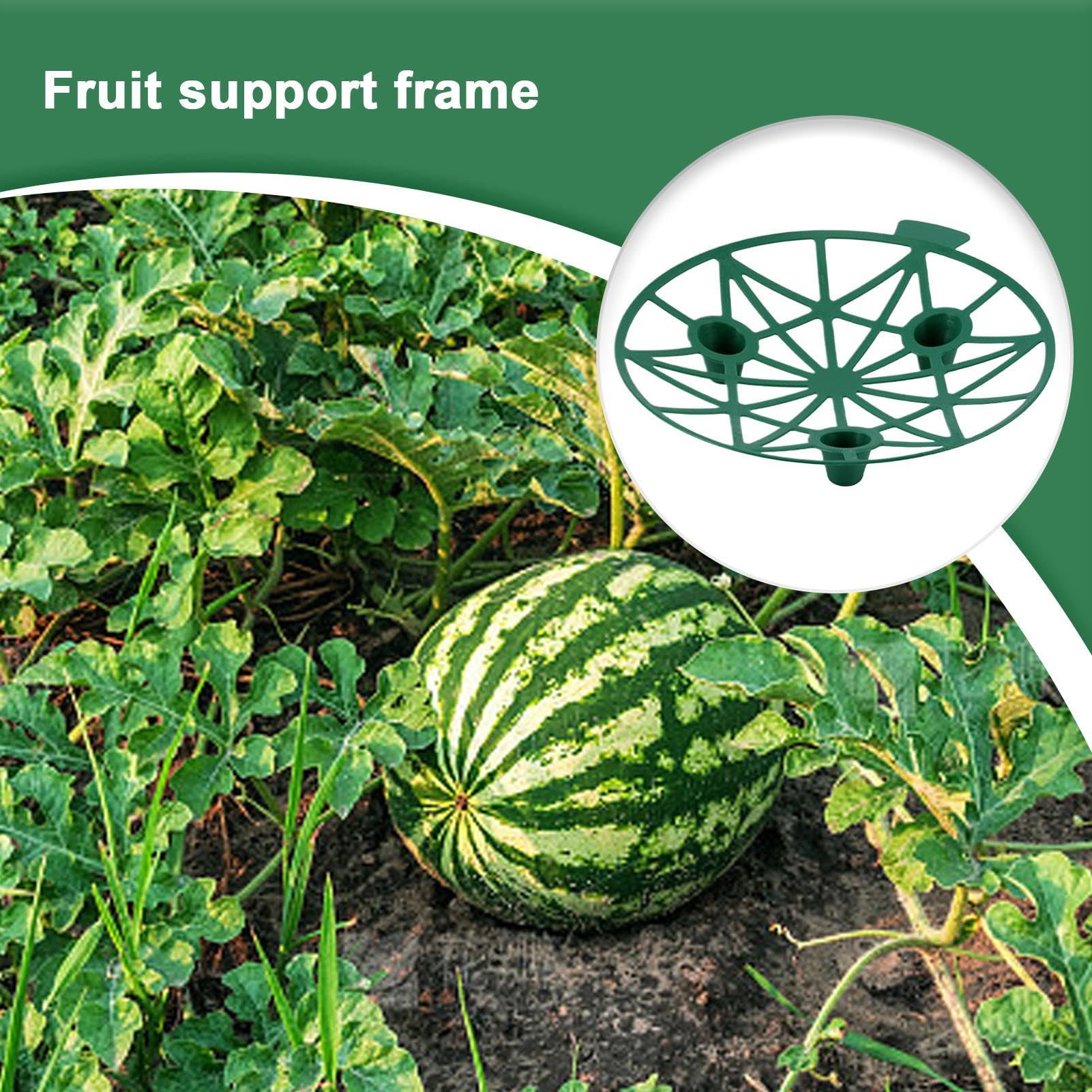 Stützgitter für Wassermelonen