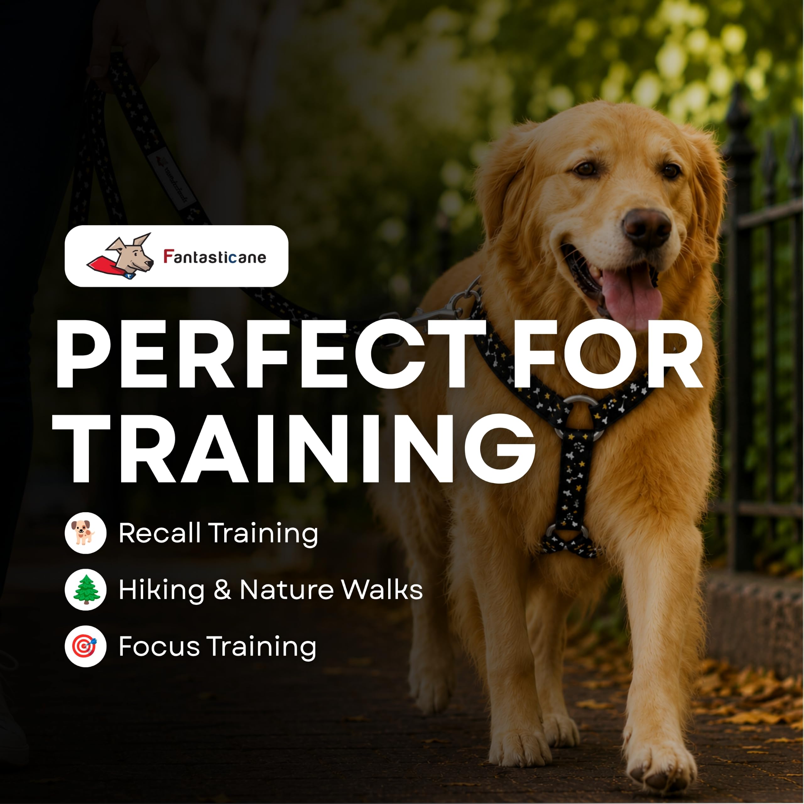 Wonderleash 3 in 1 Hundeleine für Hunde, robuste lange Linie, Trainingsleine mit Notfall-Halsband, bequemer Griff, geeignet für kleine Hunde (Schwarz, S)