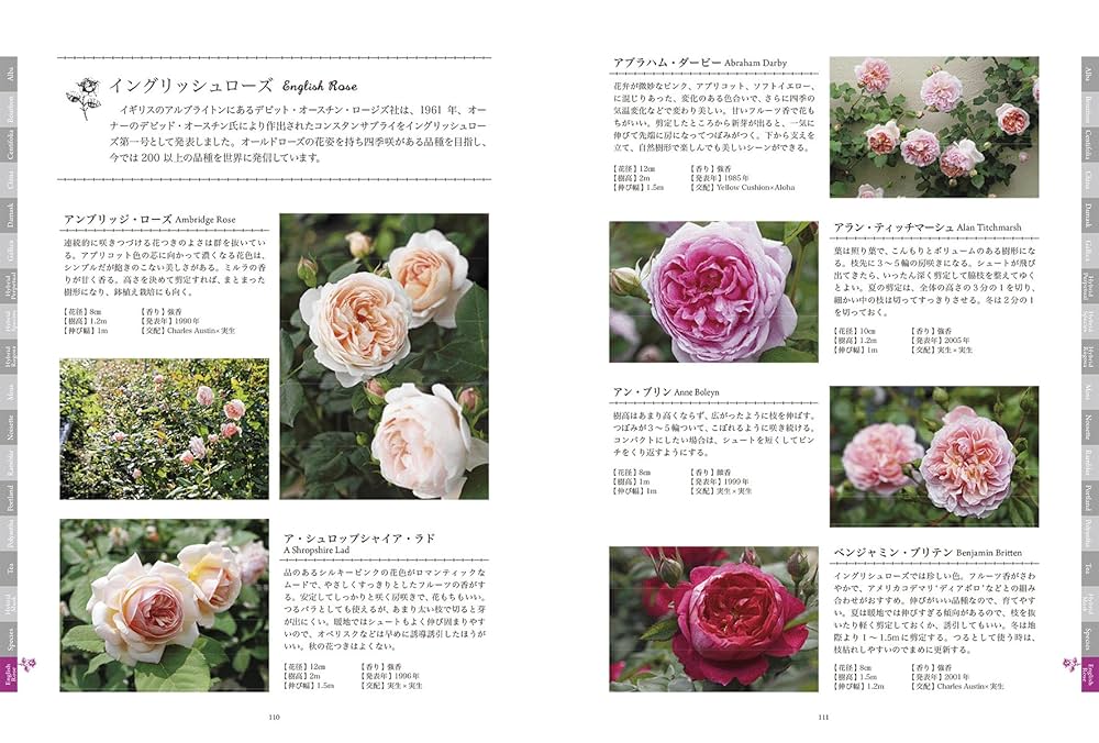 オールドローズ&イングリッシュローズ: この1冊を読めば系統