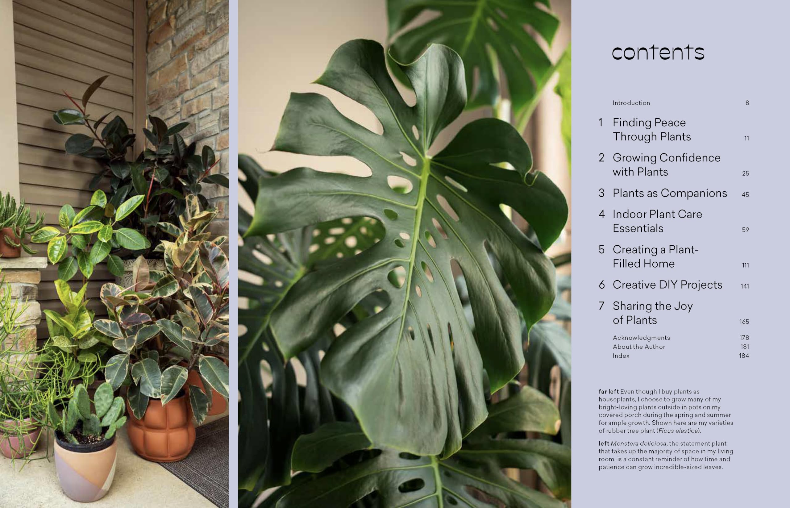 More Than Just a Plant: How to Care for Your Plants as They Care for You