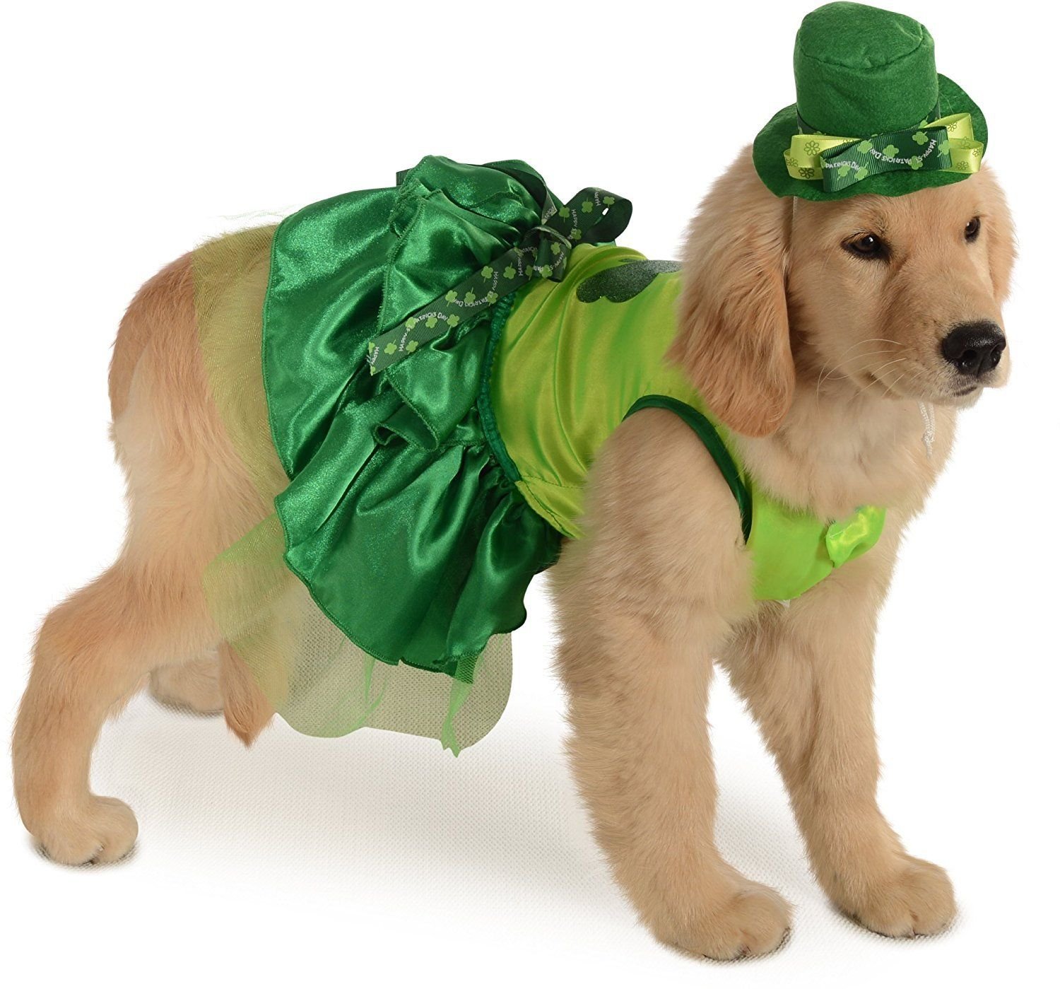 Rubie's - Costume per animali domestici, taglia piccola, irlandese