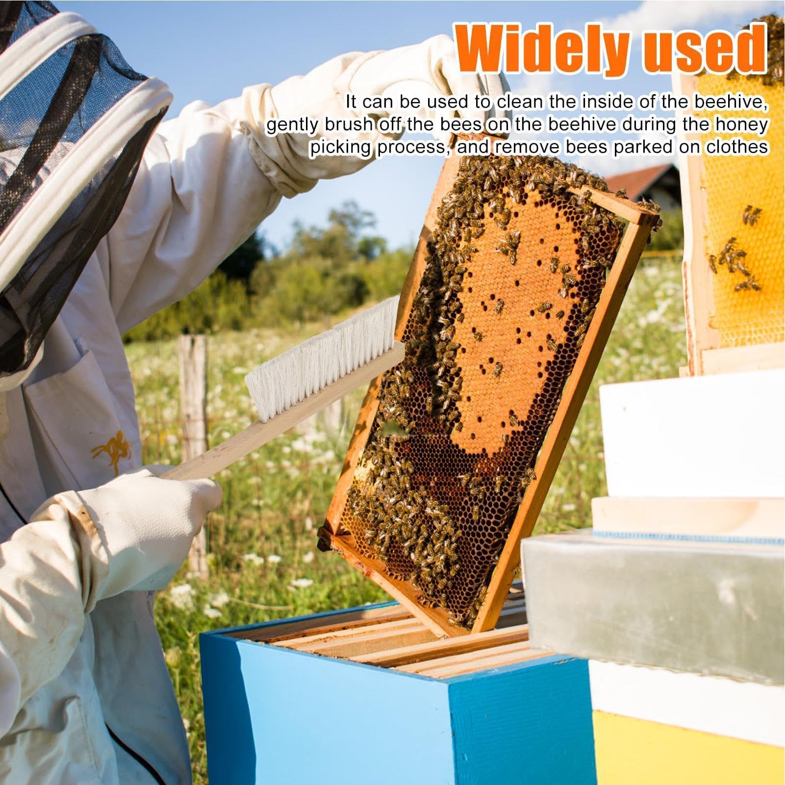 Brosse d'apiculture | 40 x 7,6 x 1 cm | Outil de Nettoyage de Ruche avec poignée en Bois Naturel en CRIN de Cheval pour Hommes, Femmes, débutants