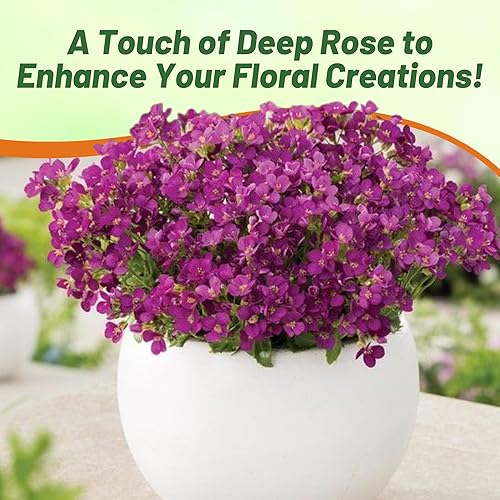 Miniatura 5 de Outsidepride Deep Rose - Semillas de berro arábis para plantar, 100 semillas perennes de cobertura del suelo con follaje de hoja perenne y flores de