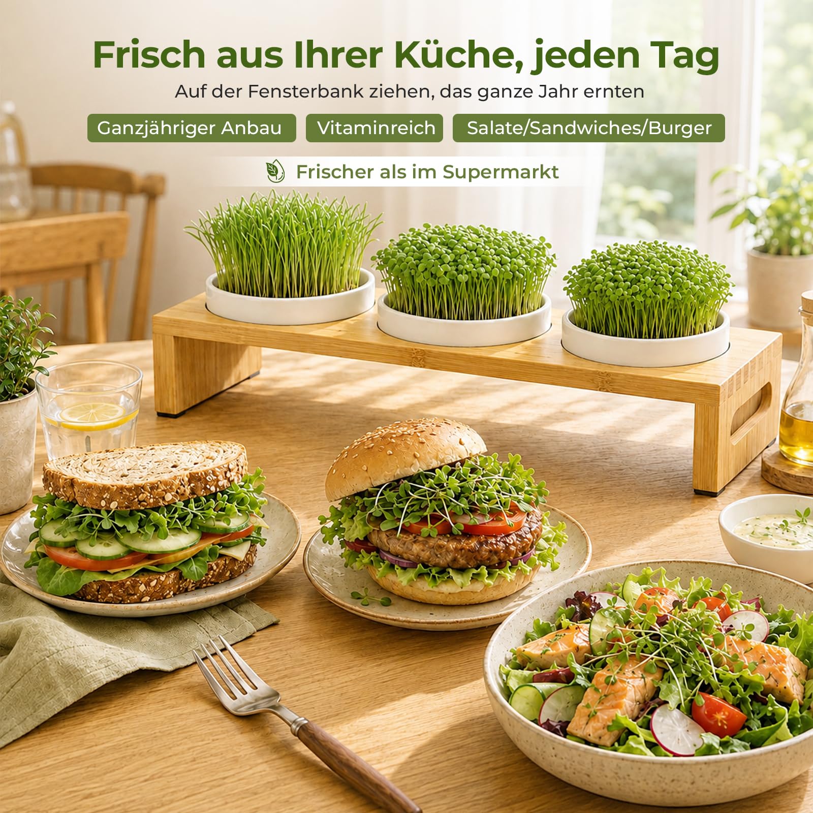 Sprossen Anzuchtset 44cm mit 3 Keramik Kresse Anzuchtschalen