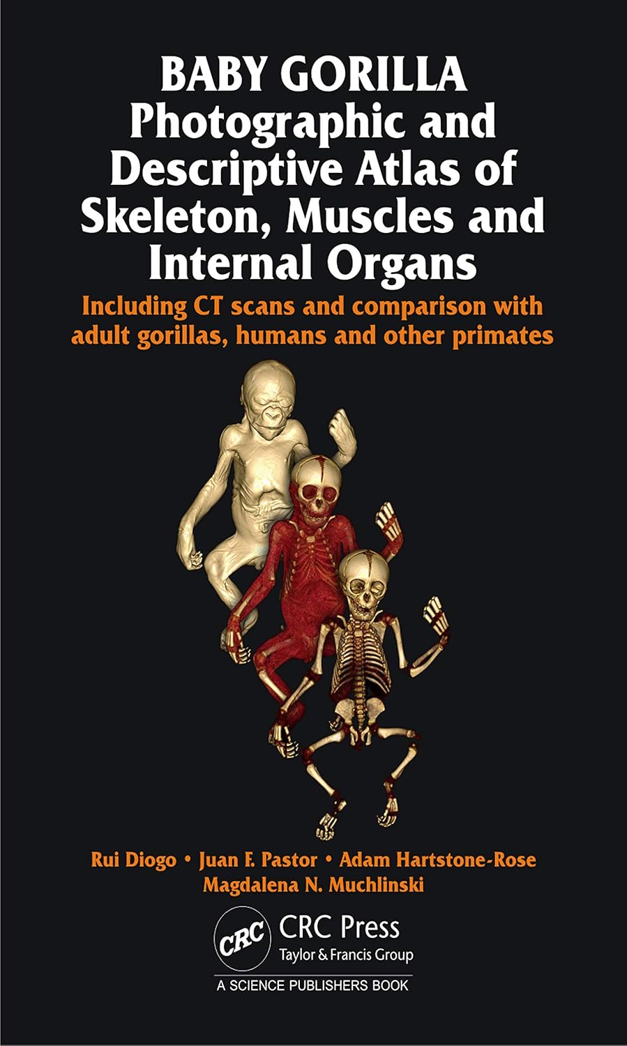 Baby Gorilla: Photographic and Descriptive Atlas of Skeleton, Muscles and Internal Organs