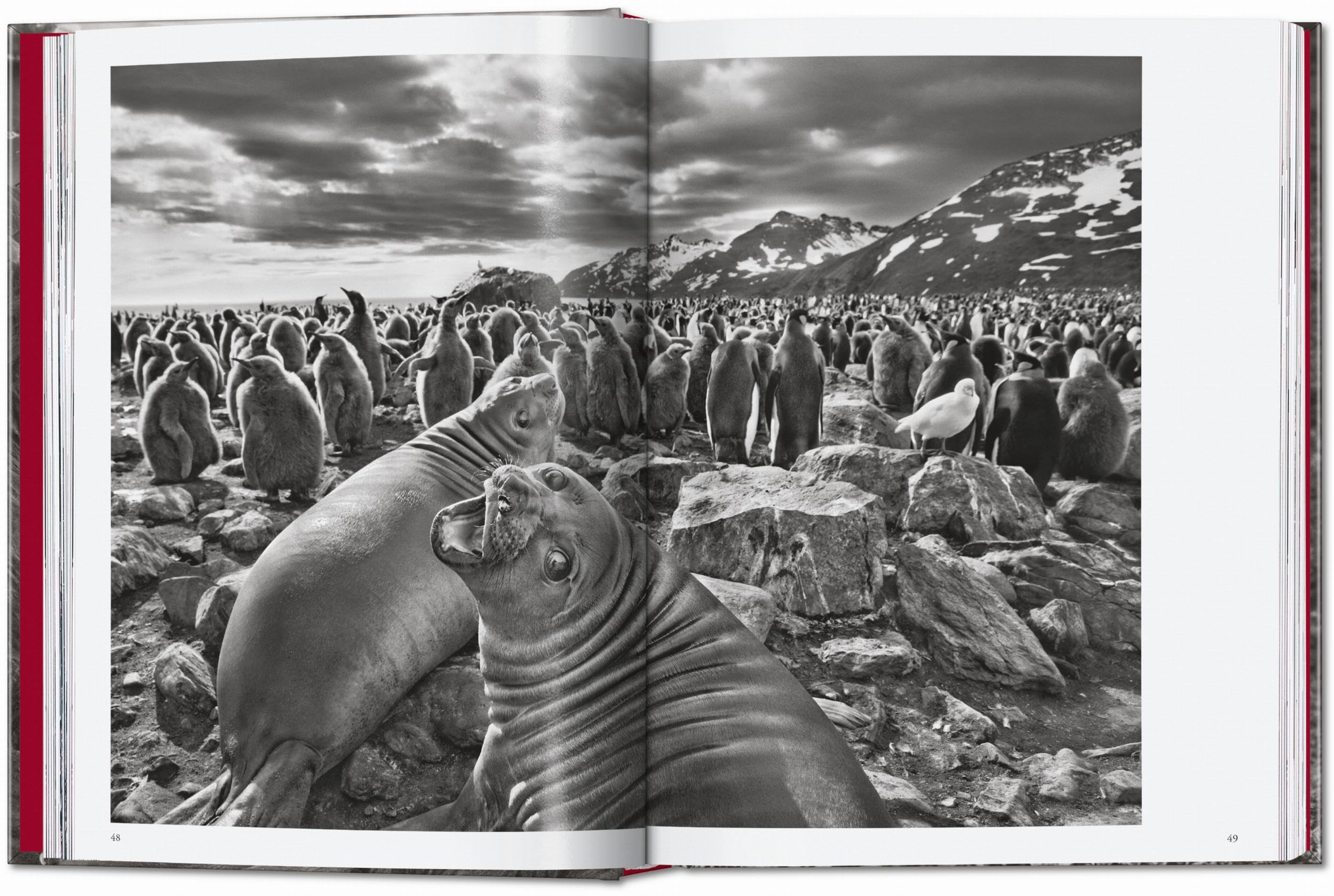 Sebastião Salgado: Genesis. 45th Ed.