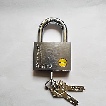 Auddy Padlock with Computer Keys (60 mm, Silver, Painted Finish, Medium Size, 3 Keys, Pack of 1 Lock)