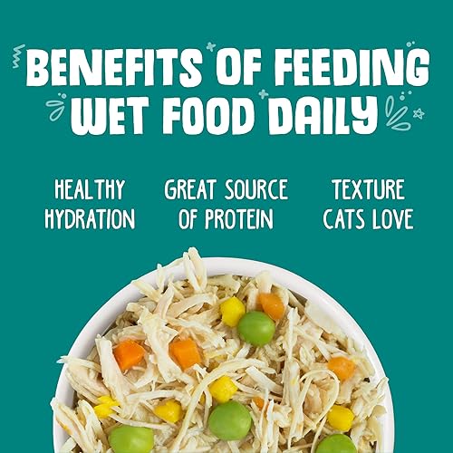 Miniatura 6 de Weruva - Comida clásica para gatos, sopa de pollo con calabaza, lata de 3 oz (paquete de 24)