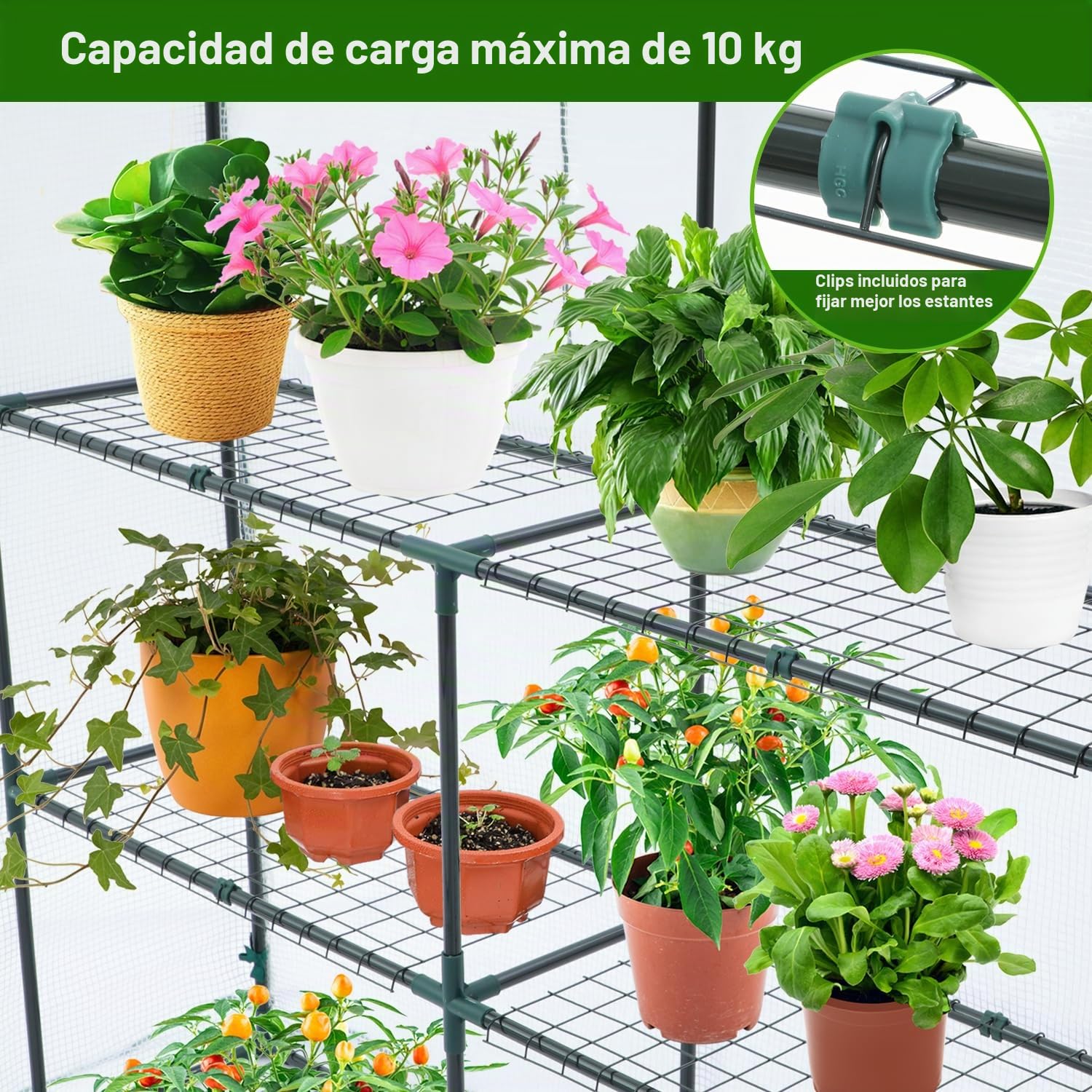Ohuhu Invernadero de Jardín 145x145x195 cm Vivero Casero 3 Niveles 12 Estantes, Invernadero para Plantas con Puerta Enrollable y Ventanas, Ideal para Cultivo de Flores y Macetas, Blanco