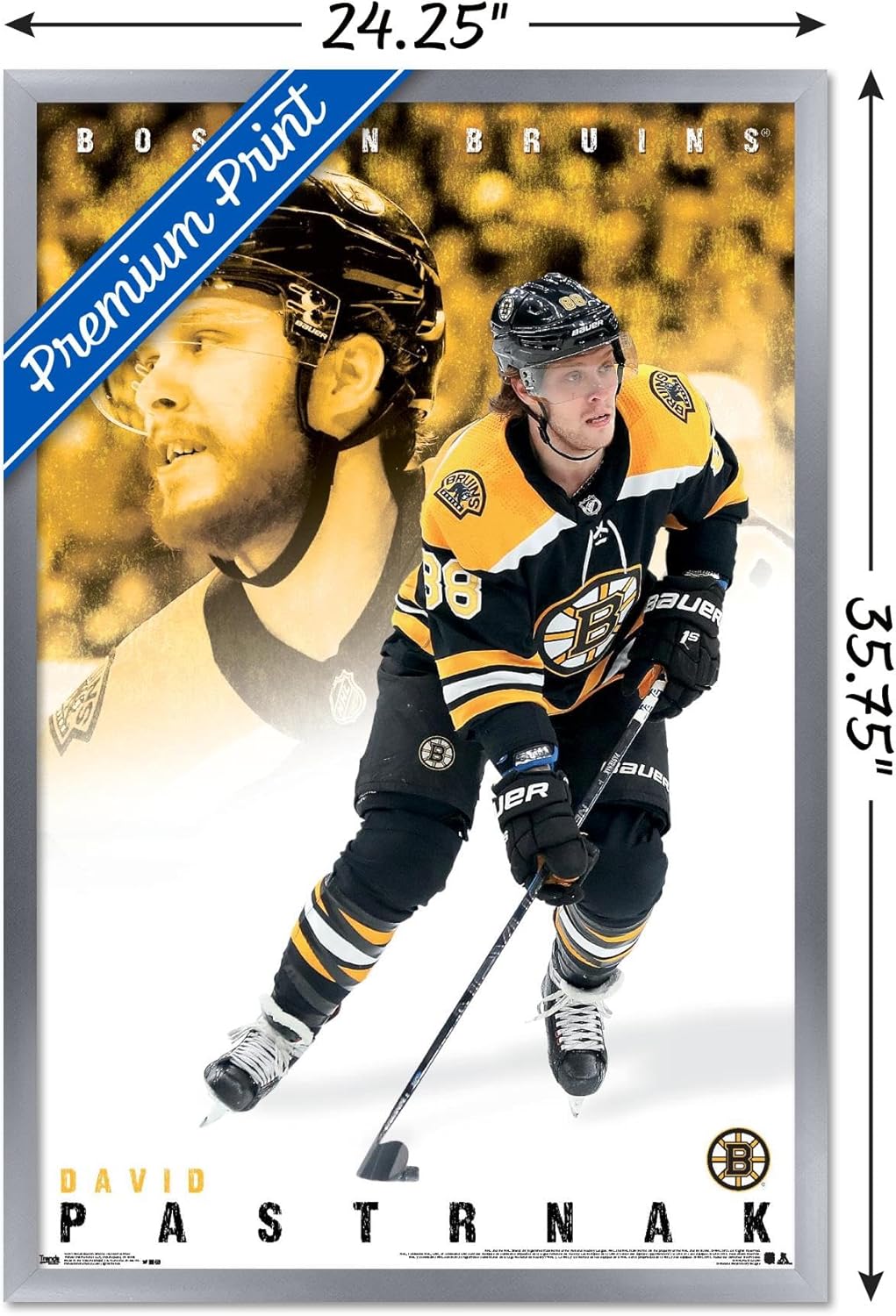 Trends International NHL Boston Bruins - David Pastrnák 19 Wall Poster, 22.375" x 34", Silver Framed Version