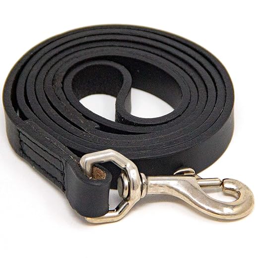 Logical Leather 4 Foot Dog Leash - Best for Training - Heavy Full Grain Leather Lead - Black