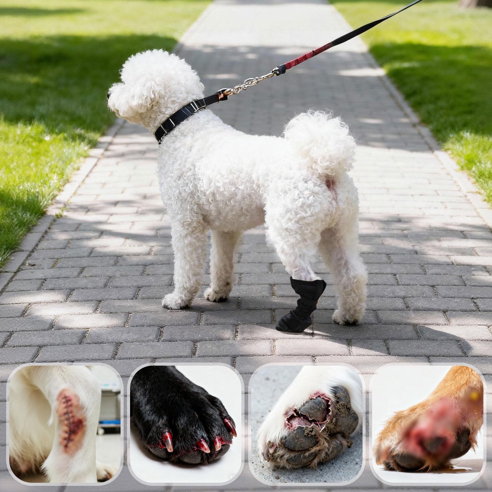 Scarpe per Cani per Zampe Ferite, Calze di Protezione e Recupero per Cani, Stivali per Cani Impermeabili, Stivali per Cani Paw Protector Calzini Antiscivolo per Cani, Rcarpette Cane Traspiranti