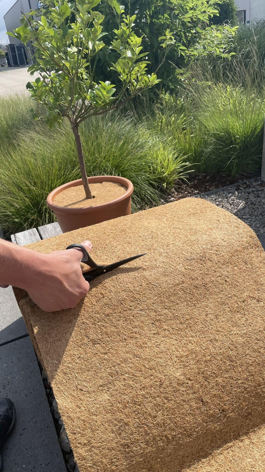 Wacredo 10m Kokosmatte 100% Natur - (50cm x 10m)