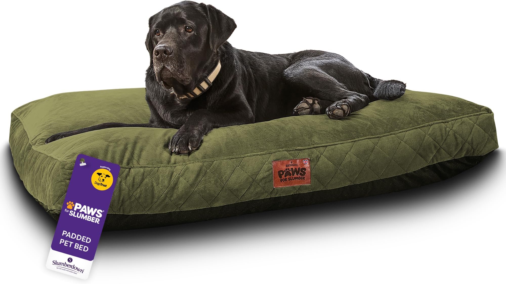Slumberdown Luxury Padded XL Dog Bed (90 * 120 * 20cm) - Supportive, Cushioned & Washable Crate Mattress for Puppies, Dogs & Cats | Orthopedic, UK-Made, Non-Slip Base, Green