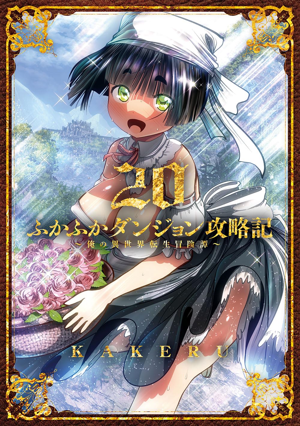 Amazon.co.jp: KAKERU: 本、バイオグラフィー、最新アップデート