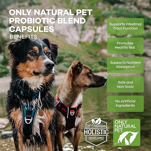 Miniatura 4 de Only Natural Pet Suplemento probiótico para perros y gatos, fórmula enzimática para la salud del tracto digestivo e intestinal, apoyo digestivo para