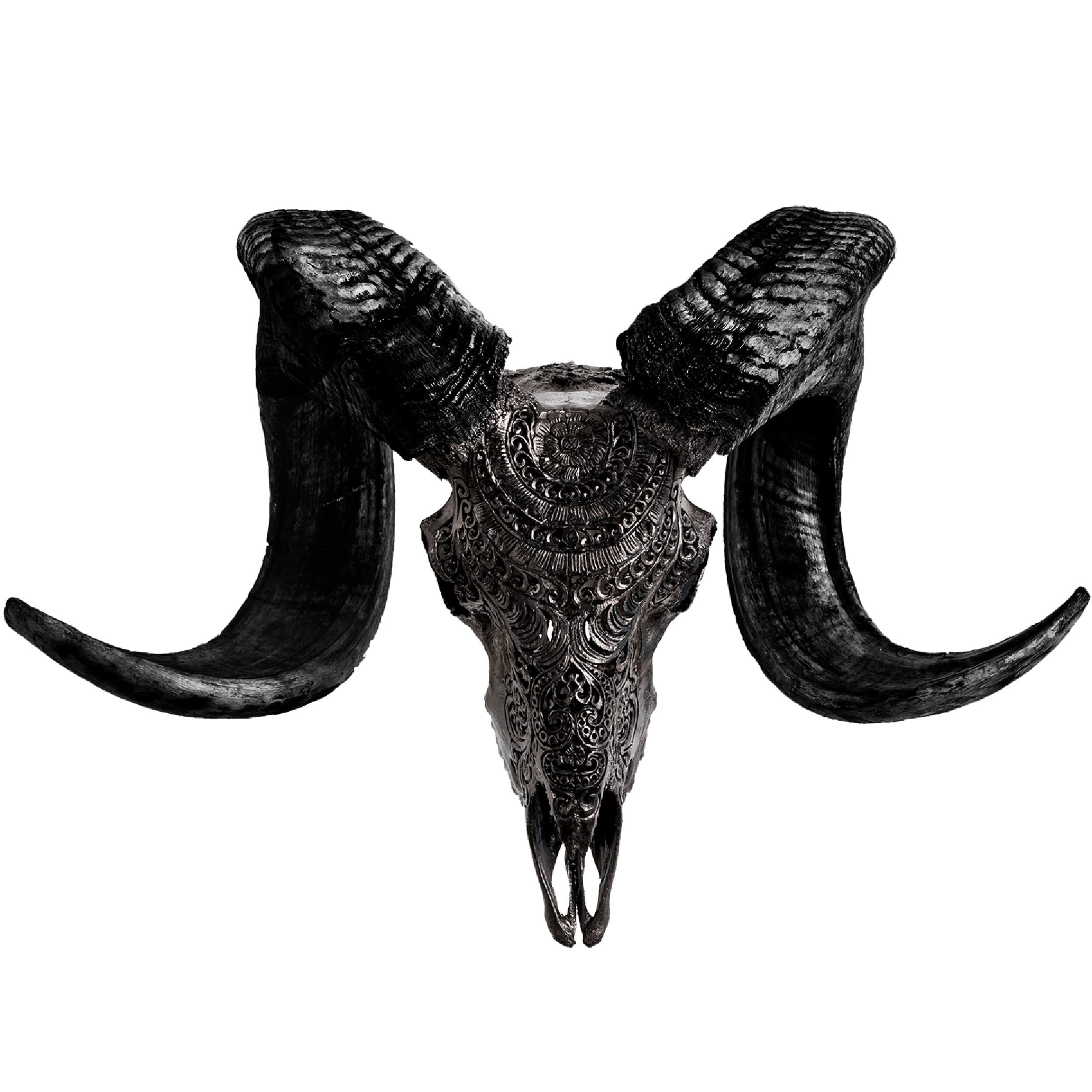 Skull Bliss - Hand-Carved Real Authentic Taxidermy Ram Skull with Horns/Genuine Ram Skull Wall Decor/Unique Animal Skull Decorations (Standard Horns)