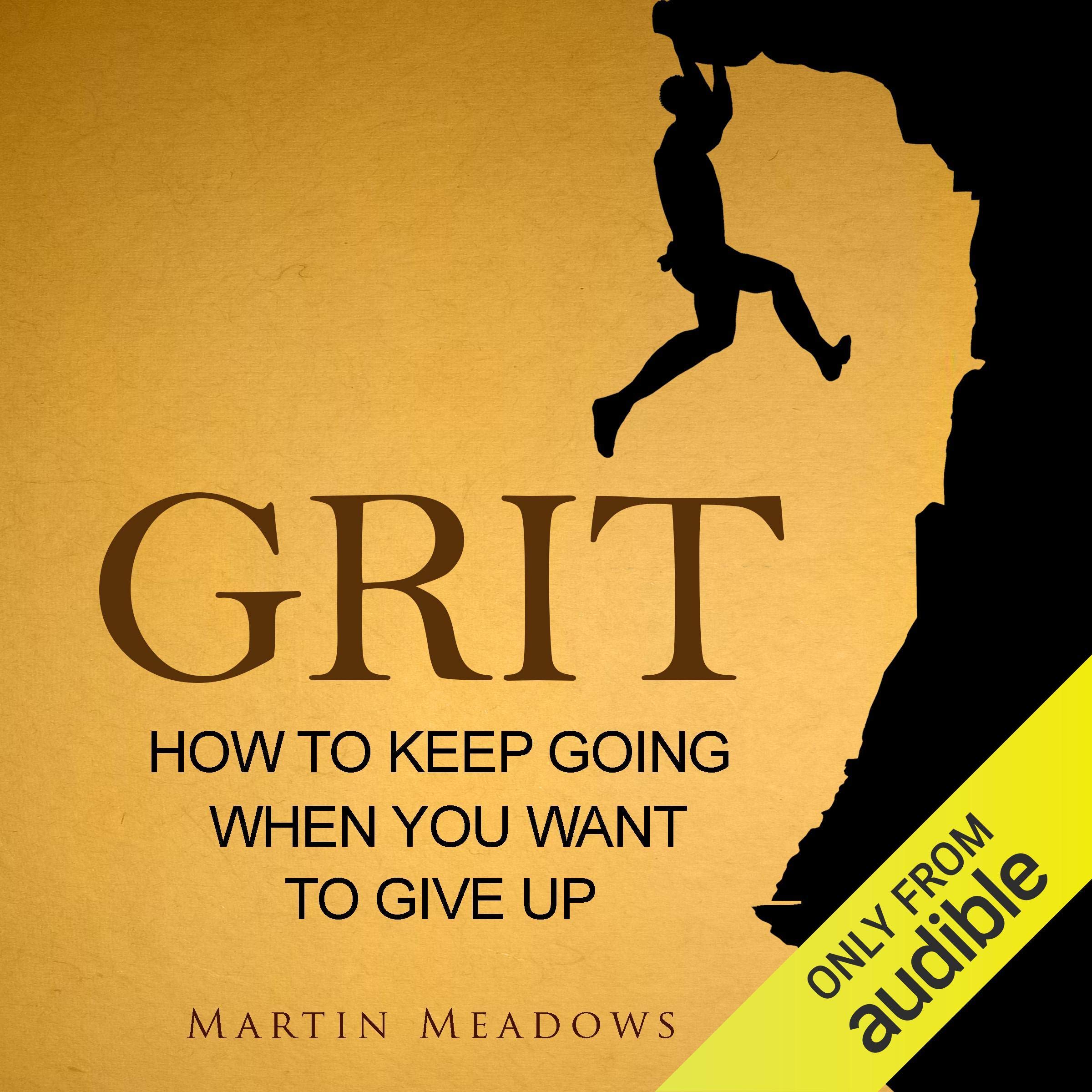 Cover art for Grit: How to Keep Going When You Want to Give Up
