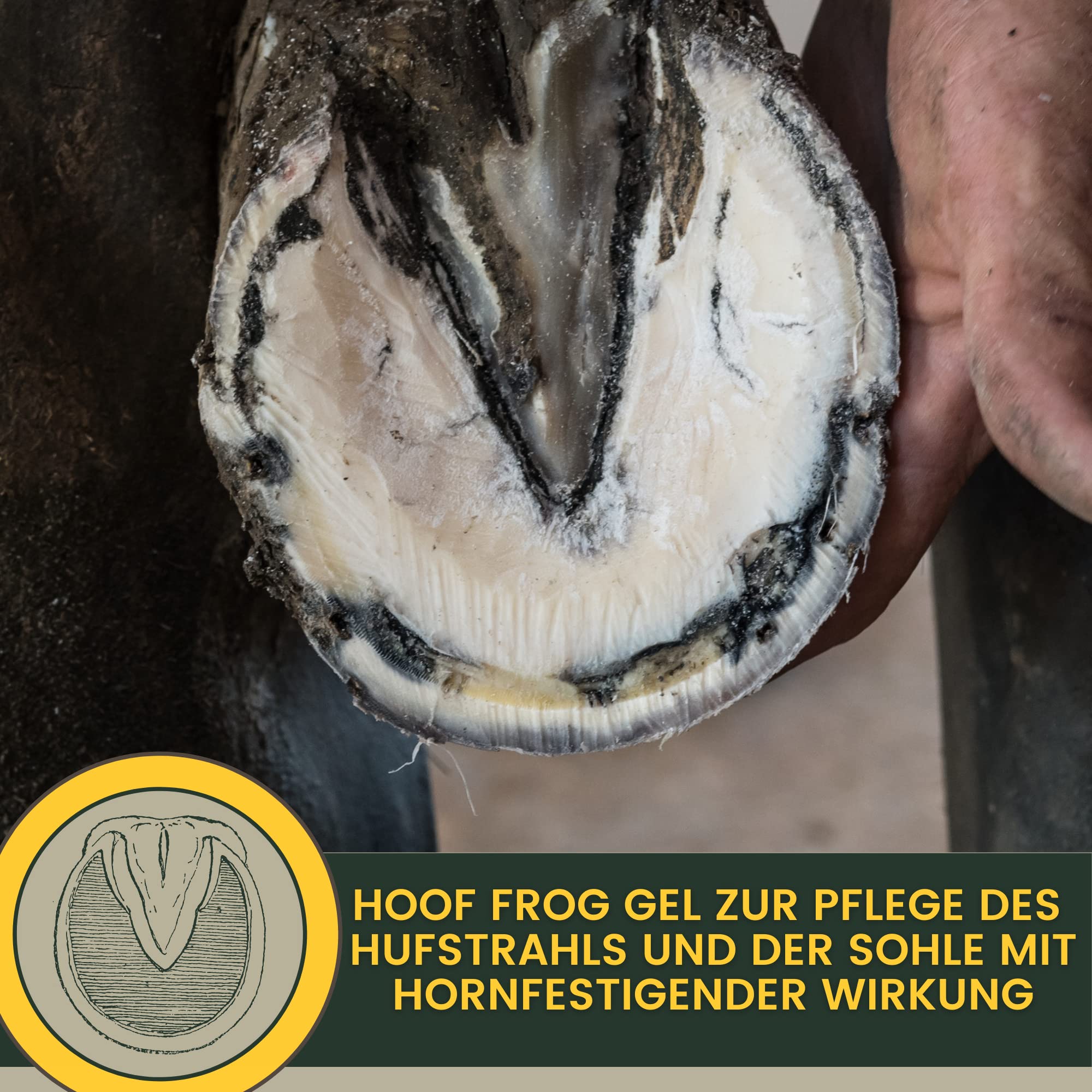 Soin de la fourchette pour chevaux I Protection de la fourchette Soin du sabot I Sabot, fourchette, semelle I Gel de fourchette I Prévention de la pourriture de la fourchette I contre l'humidité 100ml
