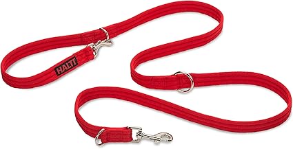 Amazon dog training lead Clearance