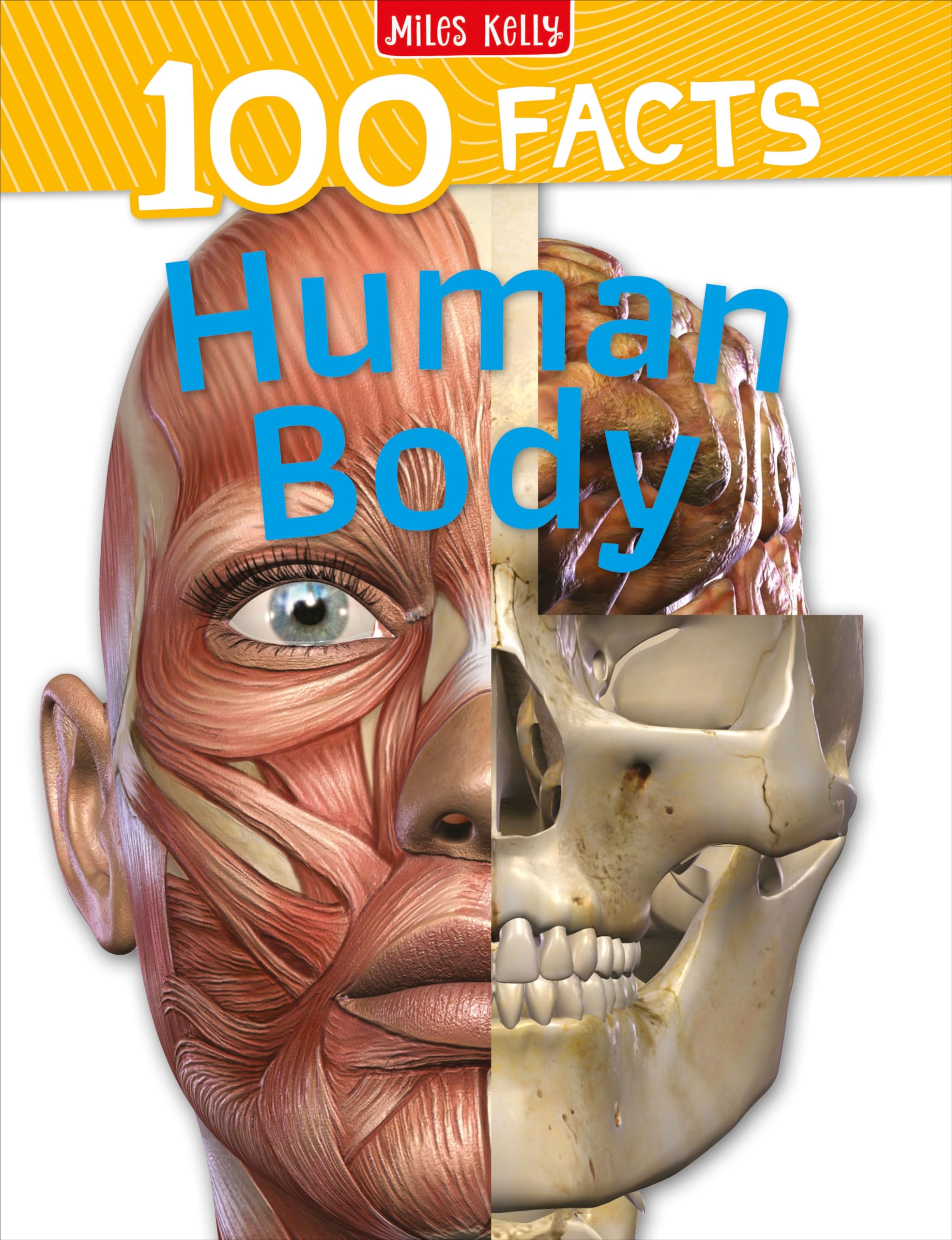 Human Body
