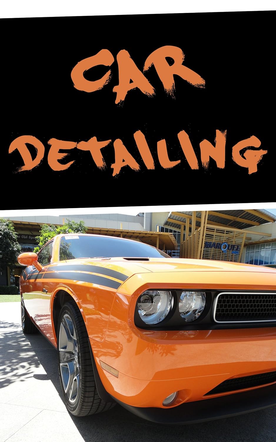 Car Detailing A Beginners Guide To Detailing A Car eBook Denali