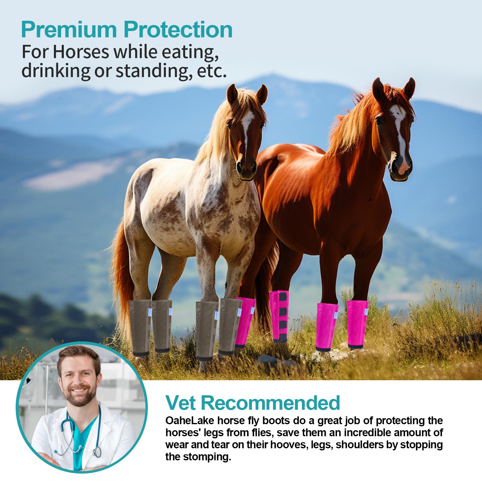 View 6