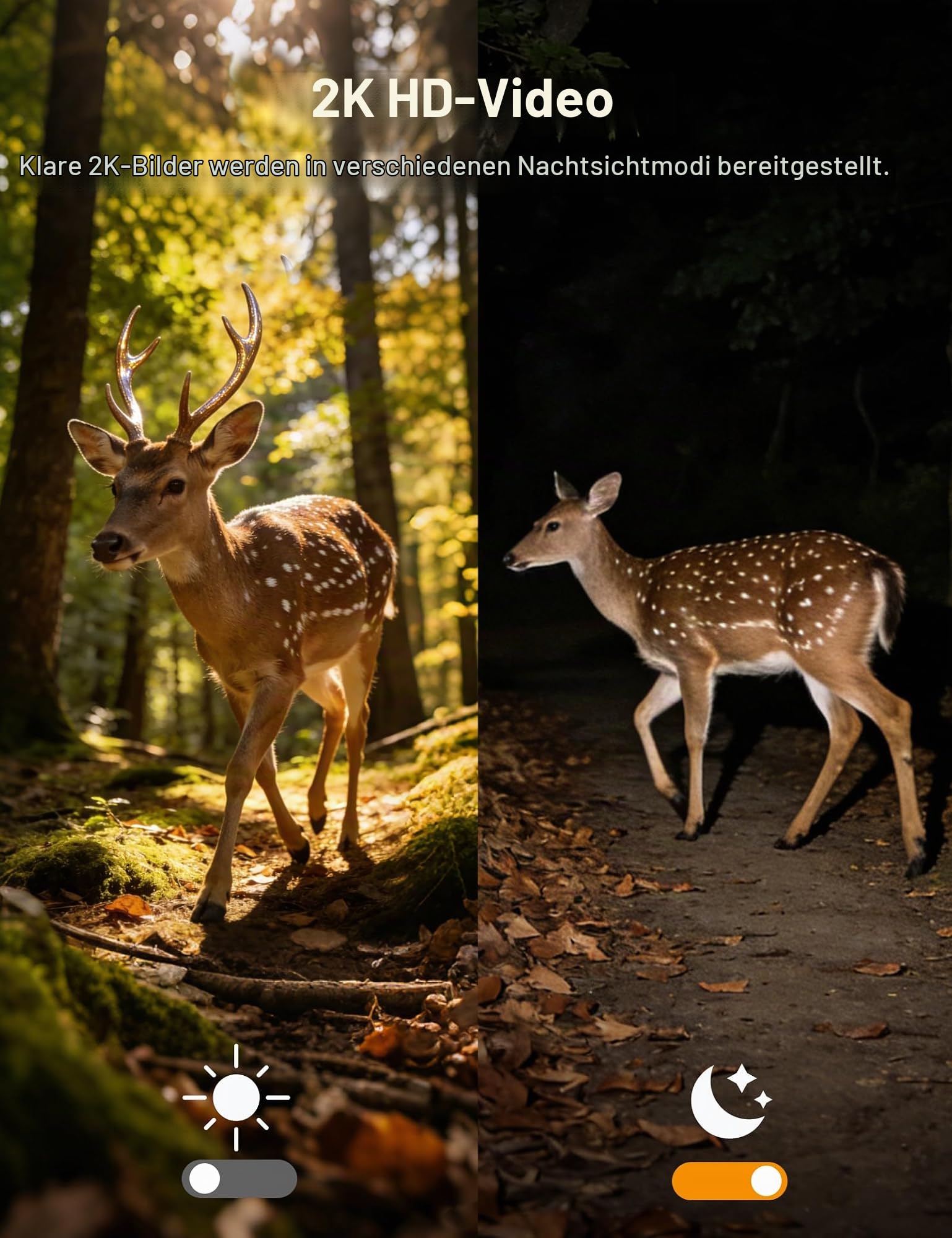 GNCC 4G LTE Wildkamera mit SIM Karte＆32GB SD Karte, 2K Solar Wildkamera mit Handyübertragung App mit Bewegungsmelder Nachtsicht, 300 MB di Dati Gratuiti, IP65 Wasserdicht, Monitoraggio a 360°