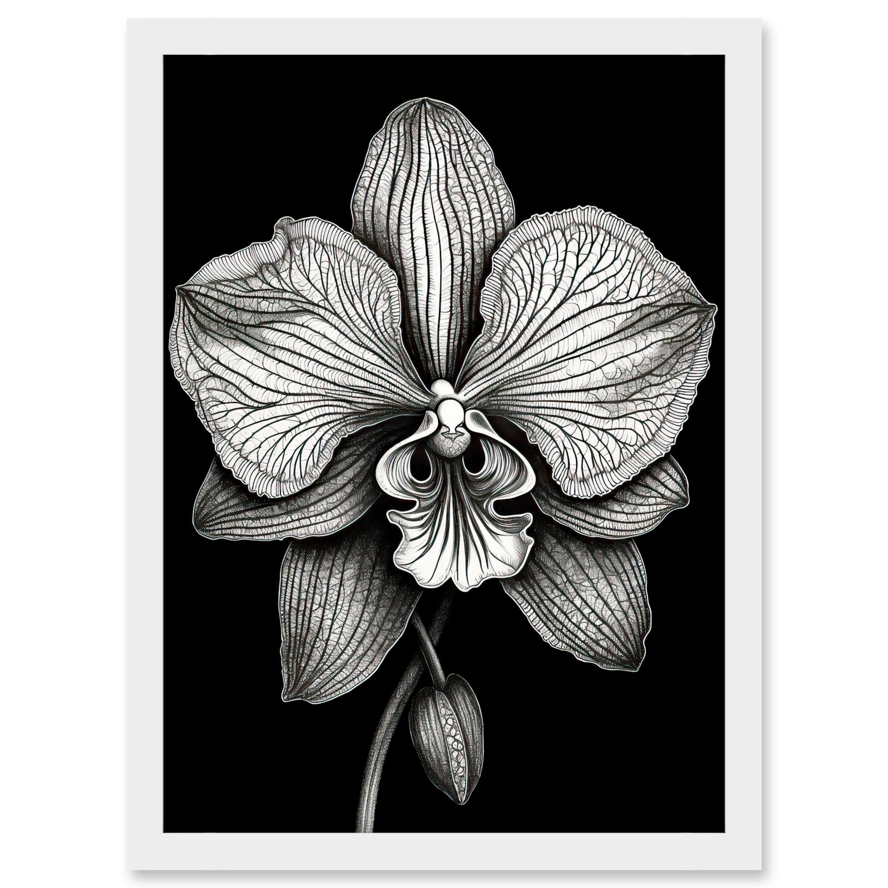 Artery8 Detailed Orchid Flower Petals in Black and White Artwork Framed A3 Wall Art Print