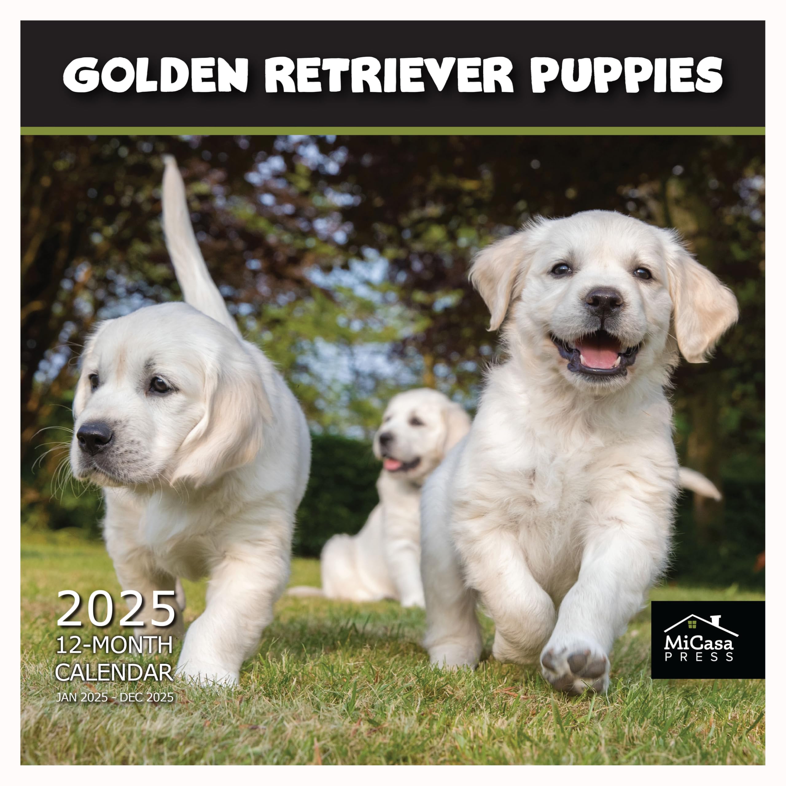 MICASA Golden Retriever Puppies 2025 Hangable Monthly Wall Calendar | 12" x 24" Open | Thick & Sturdy Paper | Giftable | Cute Dog | Every Day is Golden