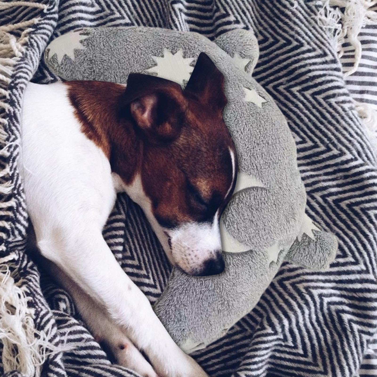 Coussin apaisant pour Chien, Design Moelleux et Douillet, Anti-Stress, Rembourrage en Peluche pour Le Confort du Sommeil
