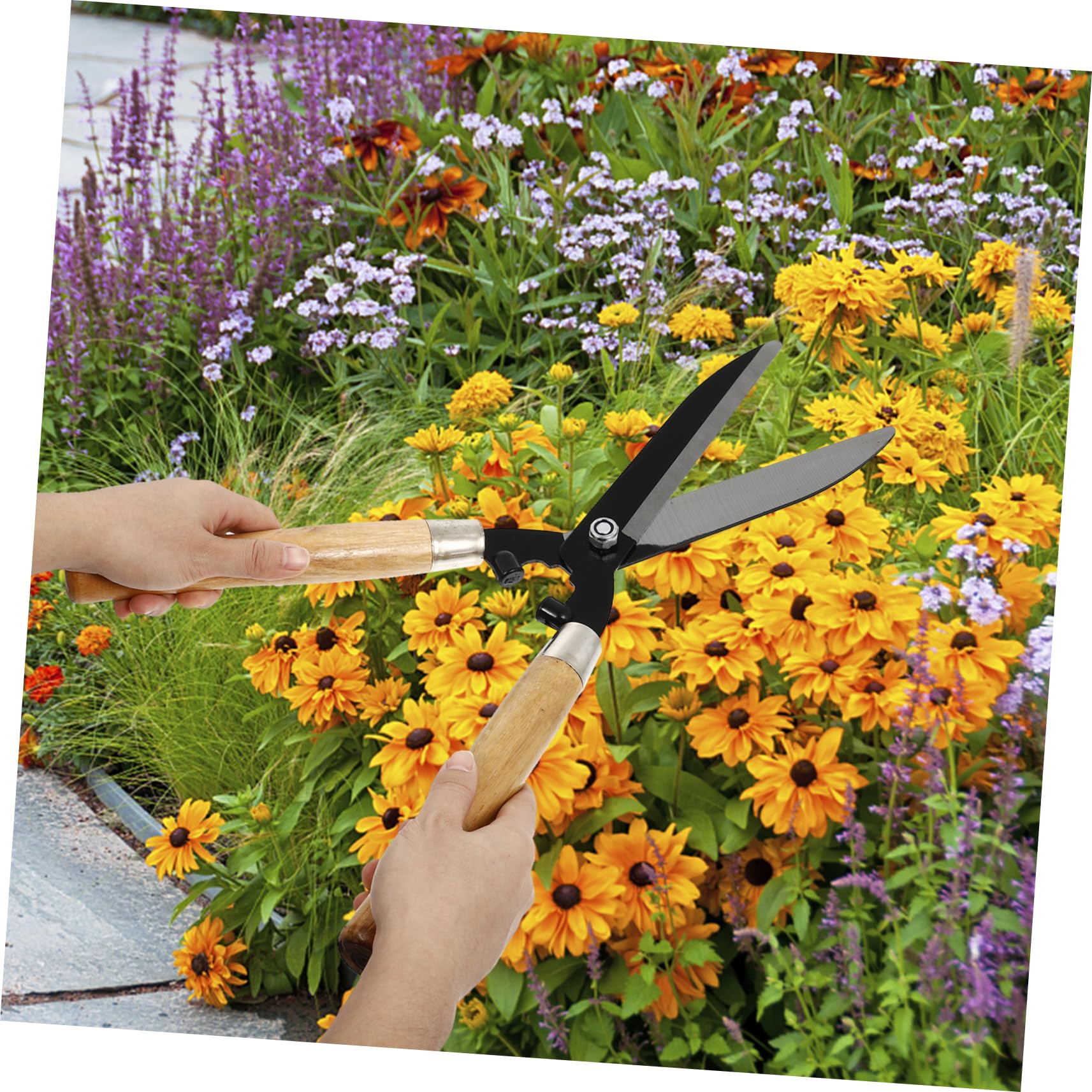 1pezzi Forbici Da Giardino Per Potatura Impugnatura in Legno Lame in Acciaio Temprato Affilate Utensili Per Innesto Per Alberi e Prato Forbici Da Siepe Ergonomiche Per Giardinaggio