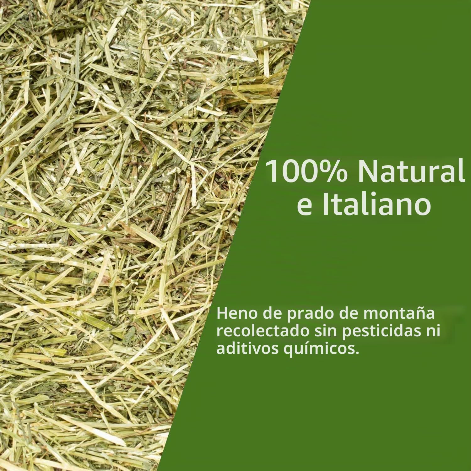 Heno natural para conejos, 20 kg | Balón de heno italiano de prado de montaña secado al sol | Alimento para cobayas, chinchillas, conejos enanos, caballos, pollos y roedores