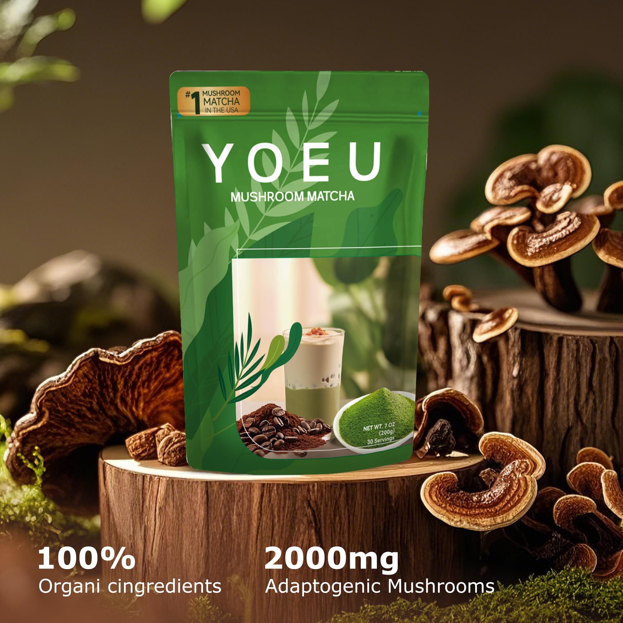 180g Organic Matcha Mushroom Powder Japanese Matcha 12 Natural Ingredients Instant Coffee Latte Powder Coffee Alternative — view 5