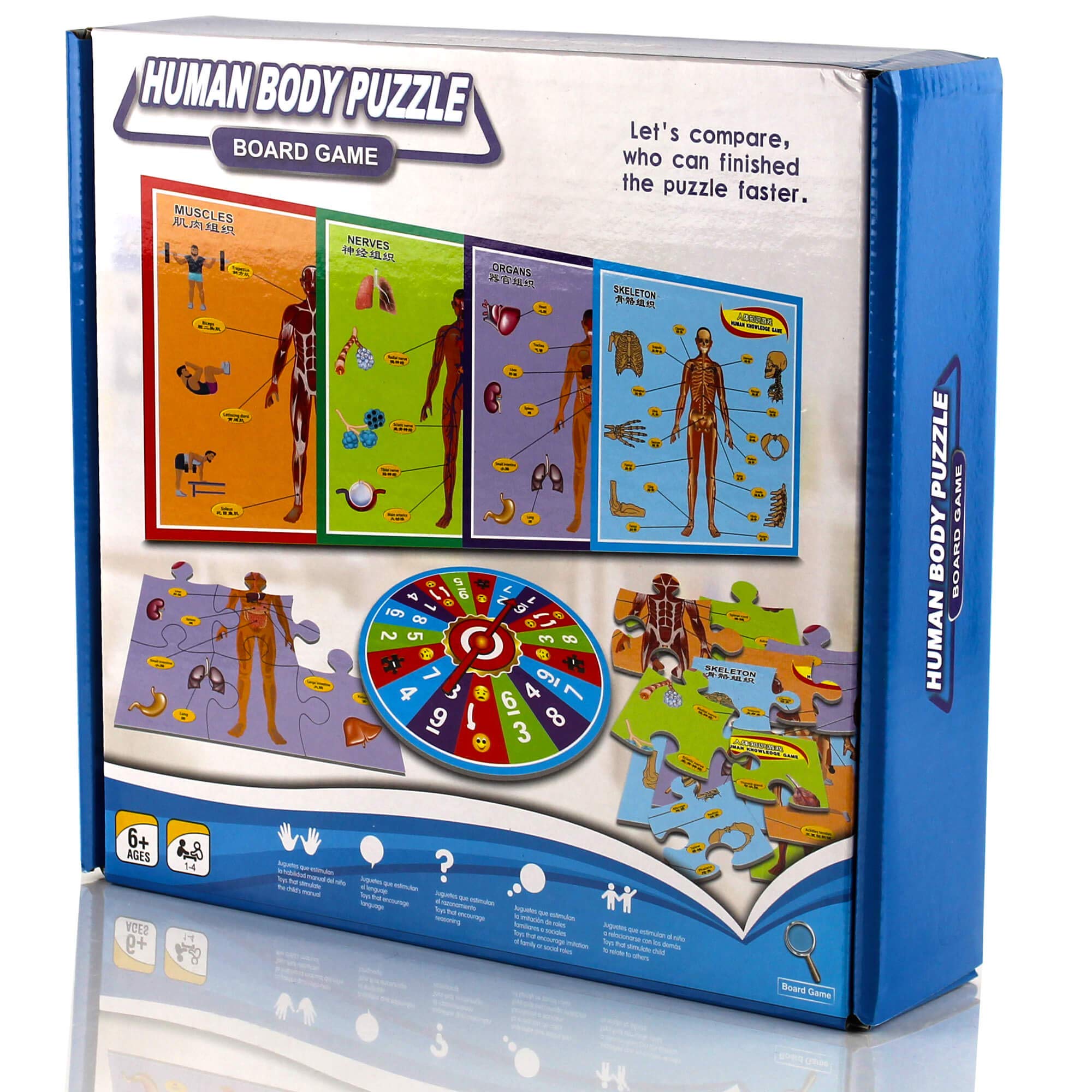 UKR Body Structure Parts Puzzle Board Game