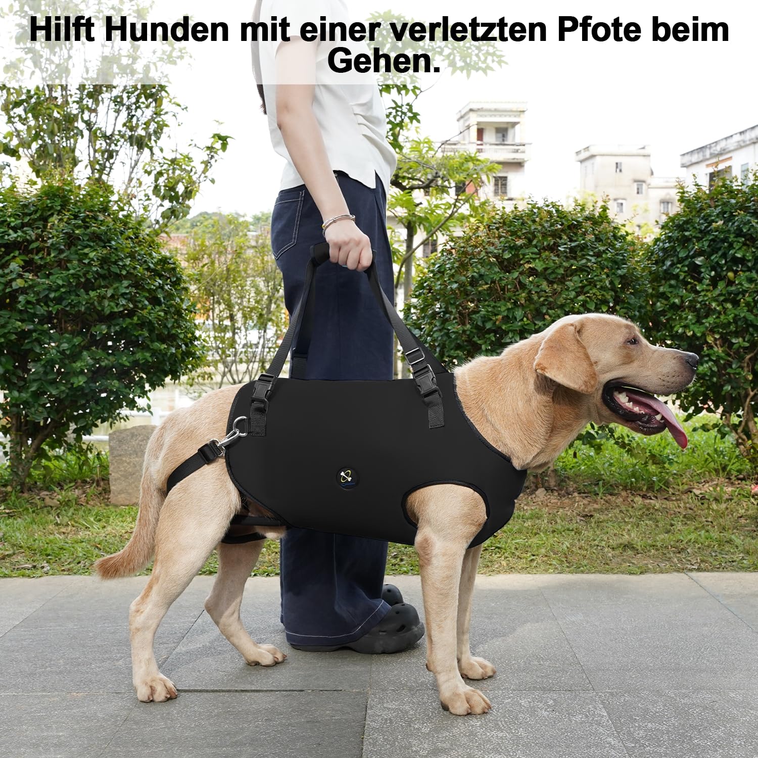 Coodeo Hundetragegurt: Unterstützungs & Rehabilitations-Schlinge, verstellbar gepolstert atmungsaktiv, für ältere, behinderte Hunde mit Gelenkproblemen oder Stabilitätsverlust (Schwarz, XL)