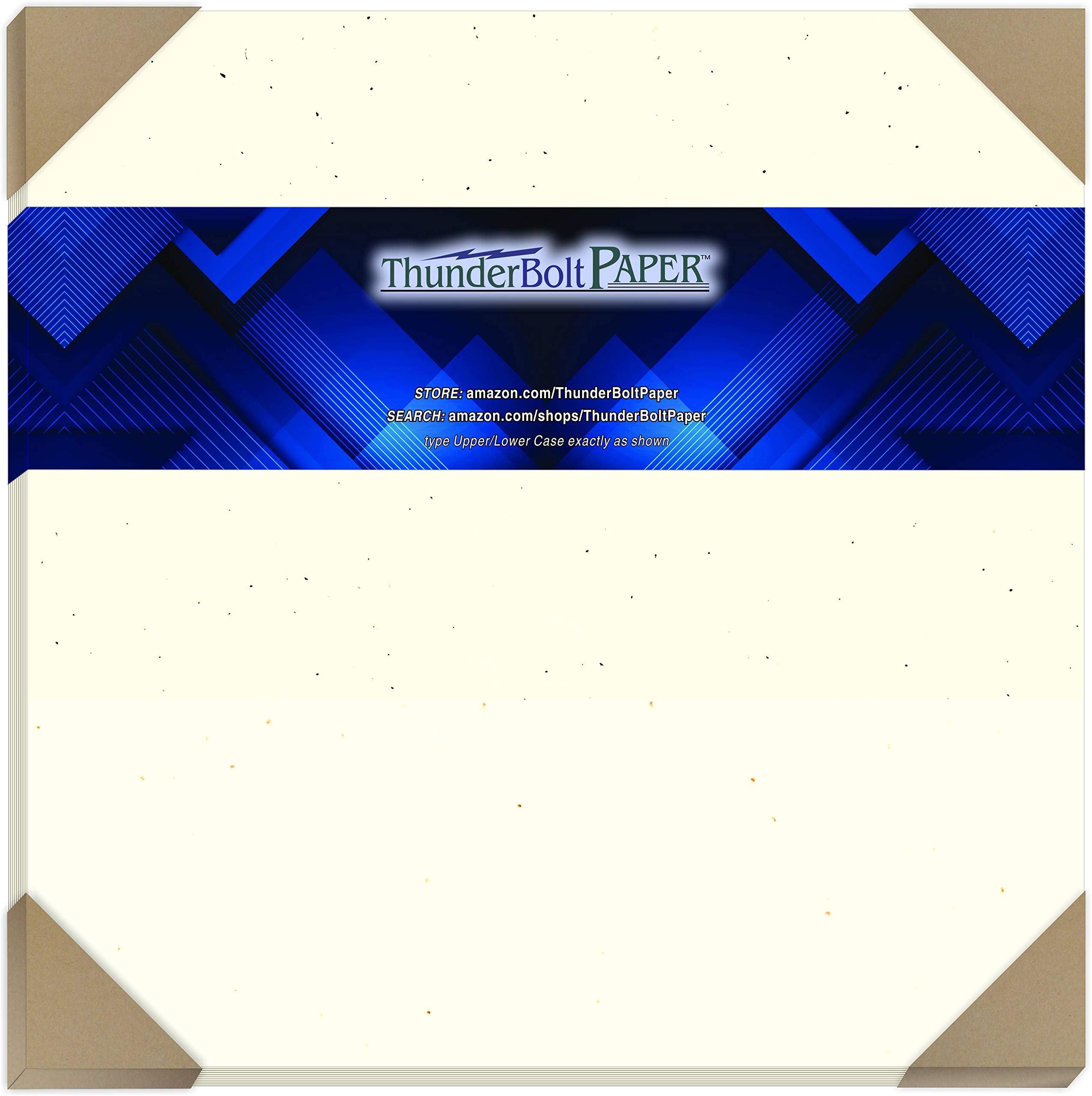 75 Earthy Birch Fiber 80# Cover Paper Sheets - 12