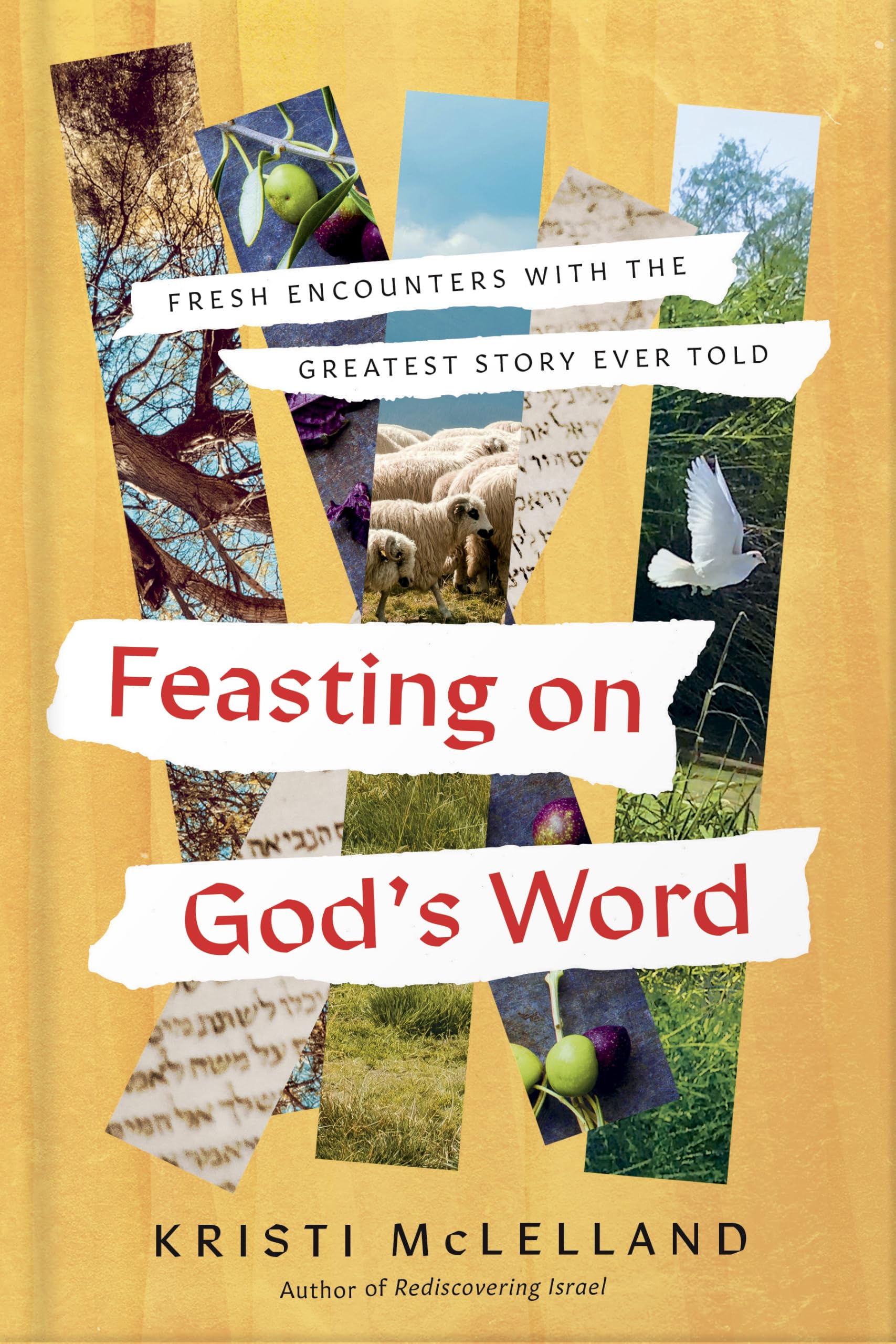 Feasting On God'S Word: Fresh Encounters with the Greatest Story Ever Told
