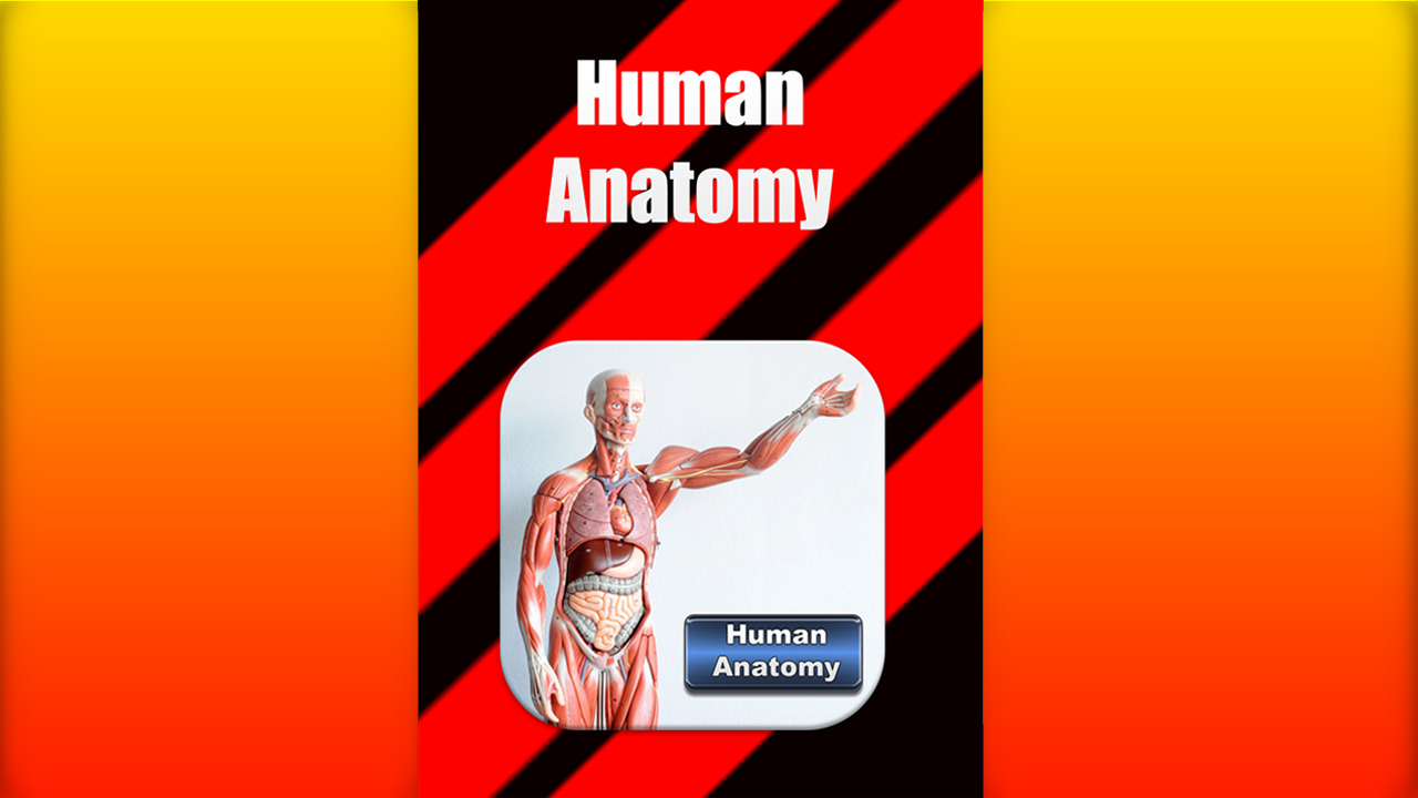Human Anatomy - Free - App on Amazon Appstore