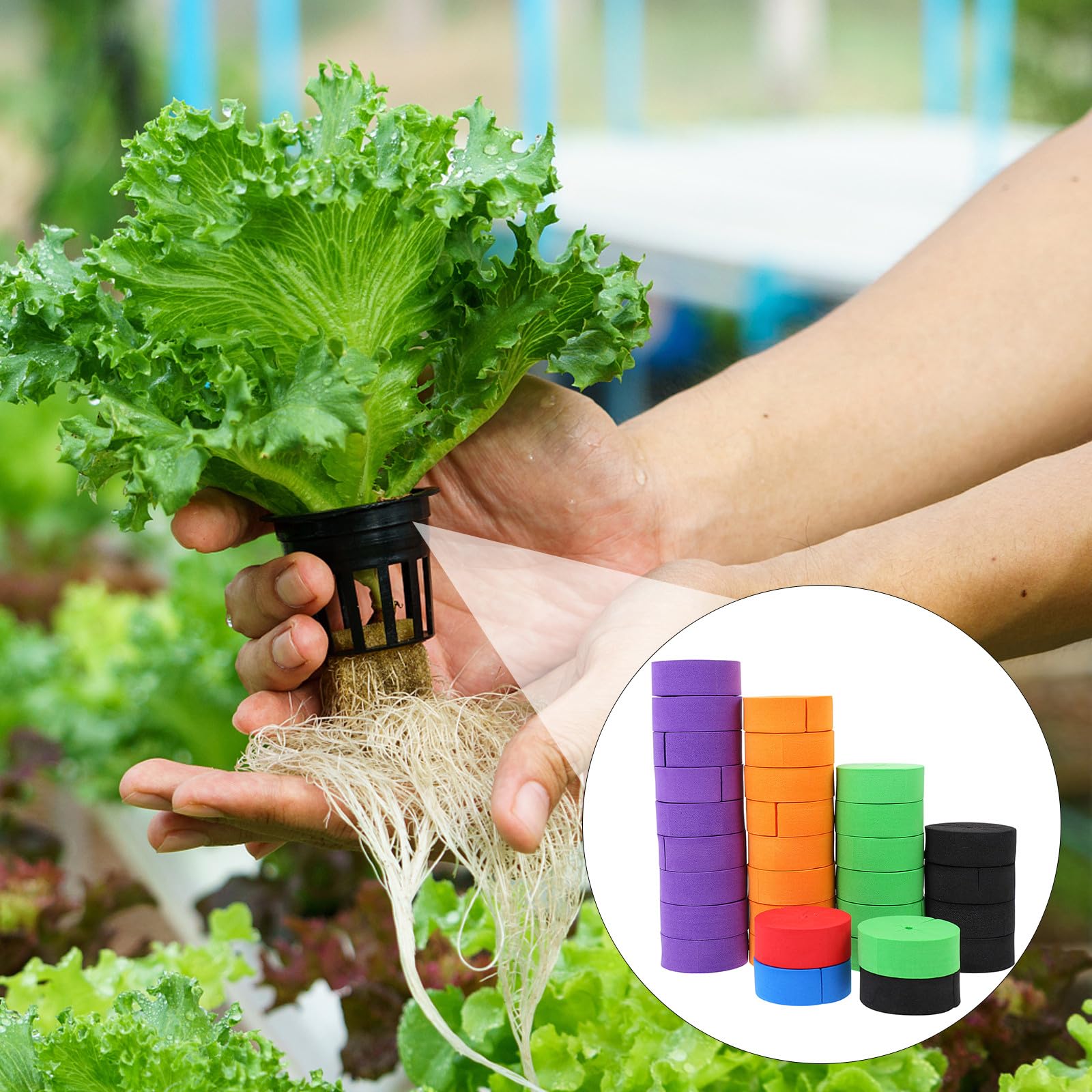 jojofuny Bloques de Esponja Eva para Cultivo Hidropónico sin Tierra, 50 Piezas, Ahorro de Espacio y Aptos para Semillas en Base de Cultivo de Hortalizas Color Aleatorio