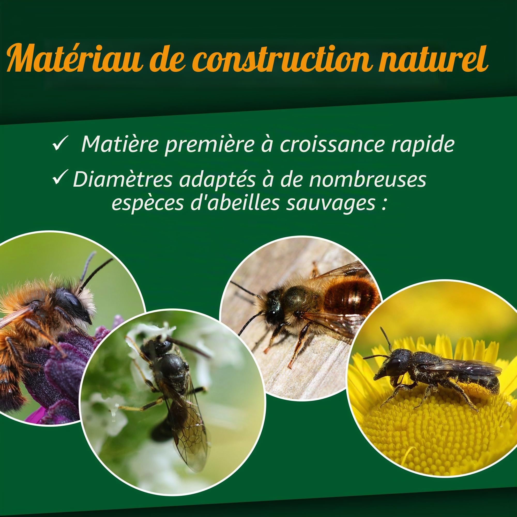 GARDIGO® Tubes en Bambou Premium pour Hôtel à Insectes - Lot de 300 | Tubes de Nidification en Bambou pour Abeilles Sauvages | Bords Nettoyés | Accessoire de Remplissage pour Maison à Insectes