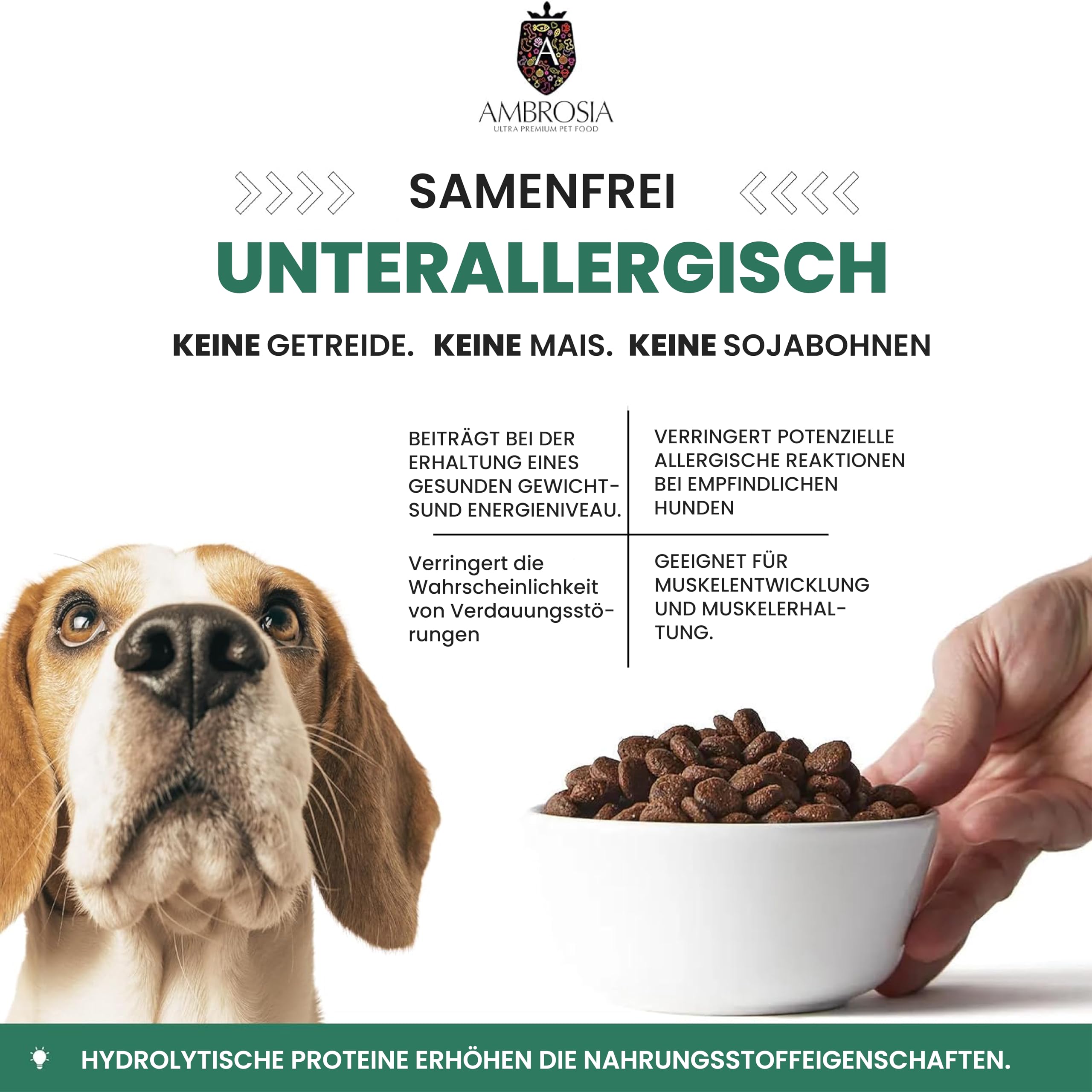 Ambrosia Ultra Premium Pet Food - Świeży indyk i łosoś – kontrola wagi – całościowo hipoalergiczna, nie zawiera zbóż, dla starszych i sterylizowana karma dla psów (12 kg)