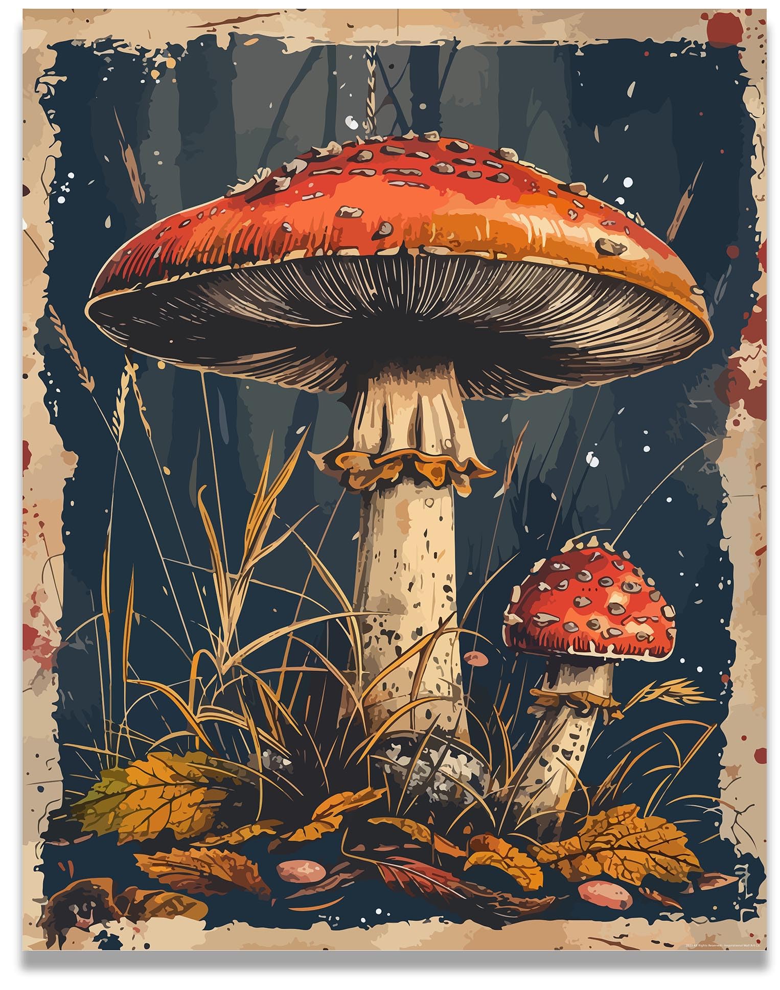 Amazon.com: Inspirational Wall Art Co. - Enigma Toadstools