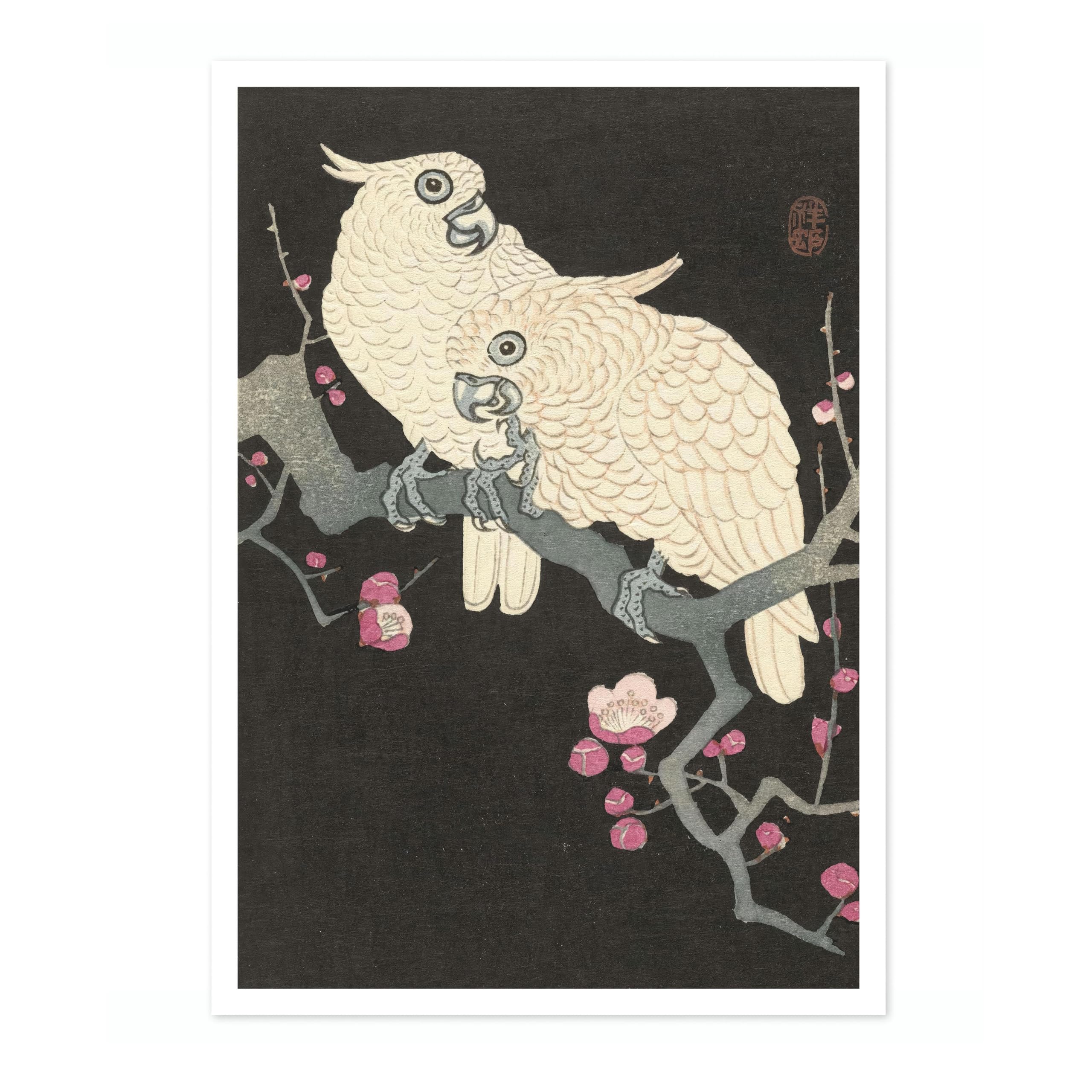 Two Cockatoos On Branch With Plum Blossom Ohara Koson Poster, Japanese Woodblock Ukiyo-E Print, Vintage Bird Art Picture Animal Painting Wall Art, Birds Home Decor, 50x70cm (Print Only) - 50x70cm — image 1