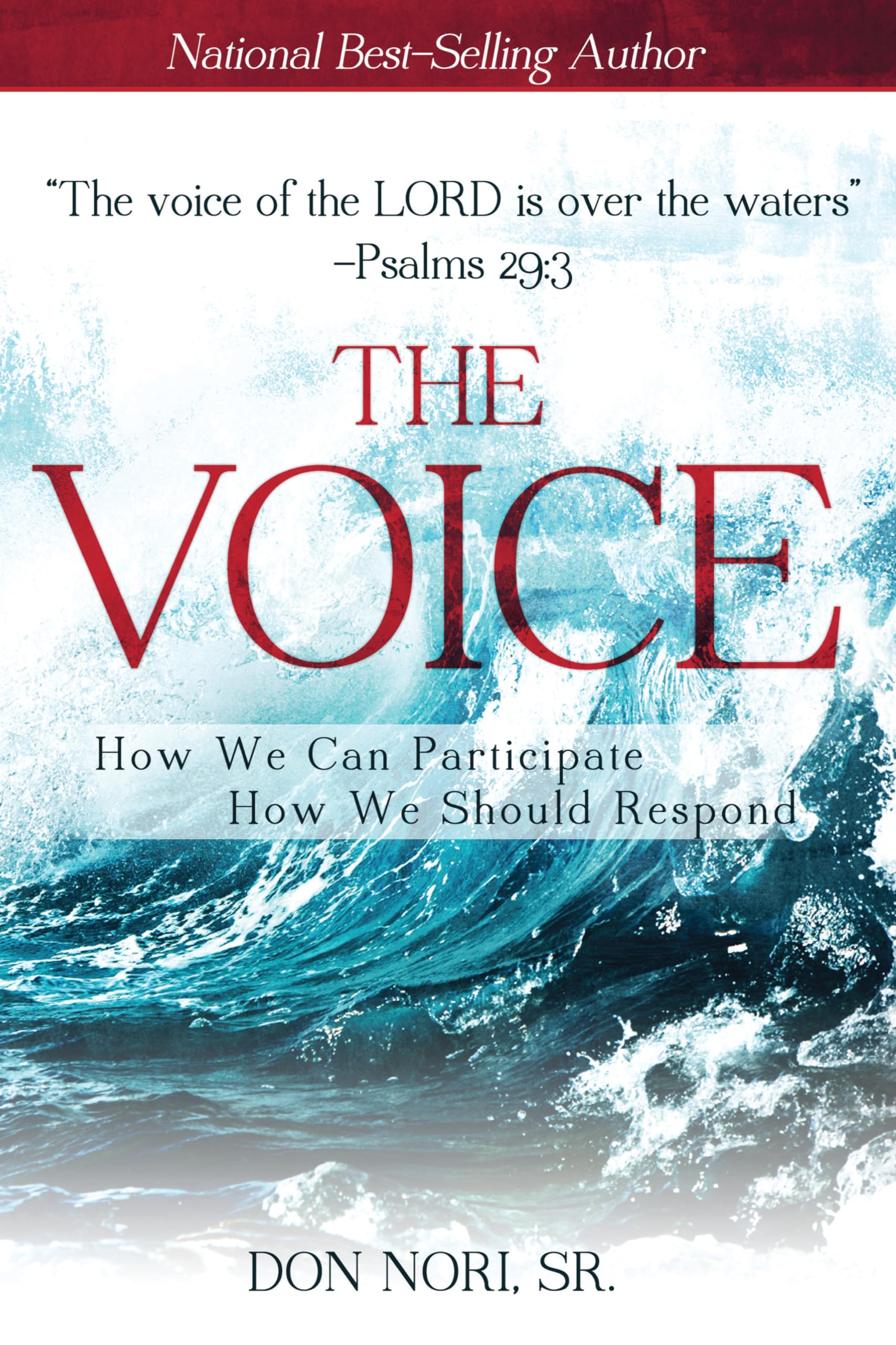 The Voice: How we can participate, how we should respond?