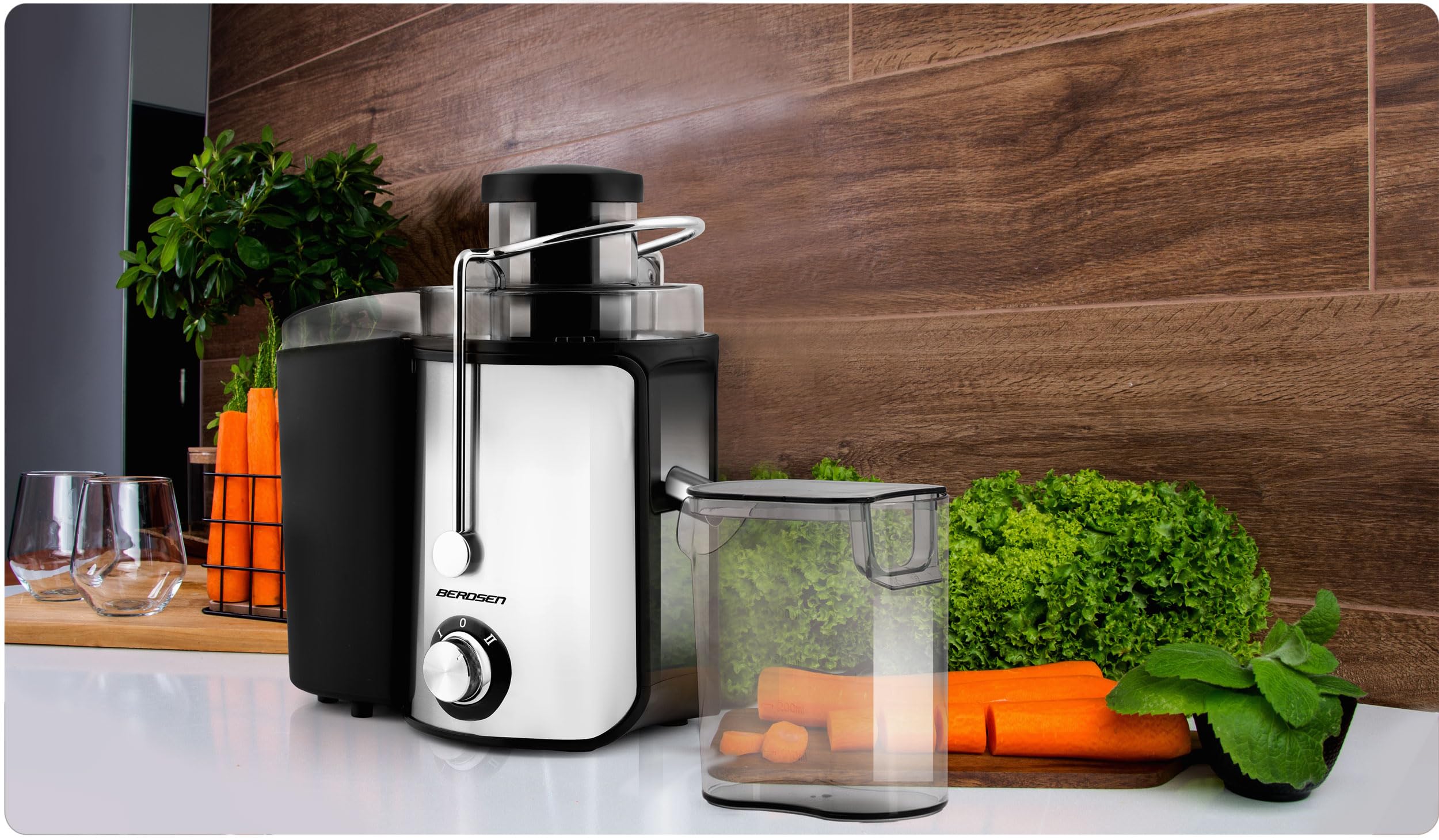 Berdsen - Exprimidor - Para frutas y verduras - Recipiente de 500 ml sin BPA - Máquina de zumo - 600 W - Hoja de acero inoxidable - 12000-13000 rpm - Exprimidor - Exprimidor - Acero inoxidable