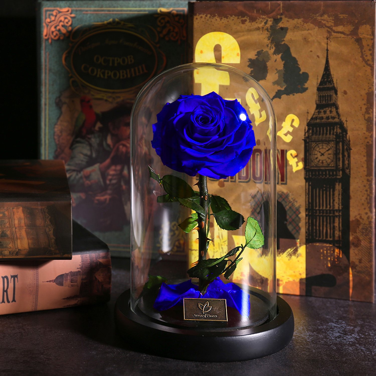 Beauty And The Beast Rose Glass Flower Perfect Blue Rose High End Gift Box Lnfinite Rose Perfect Eternal Flower For The Person You Like Blue Rose Buy Online In Cayman Islands At Cayman Desertcart Com Productid Beauty And The Beast Rose Glass Flower Perfect Blue Rose High End Gift Box Lnfinite Rose Perfect Eternal Flower For The Person You Like Blue Rose Buy Online In Cayman Islands At Cayman Desertcart Com Productid